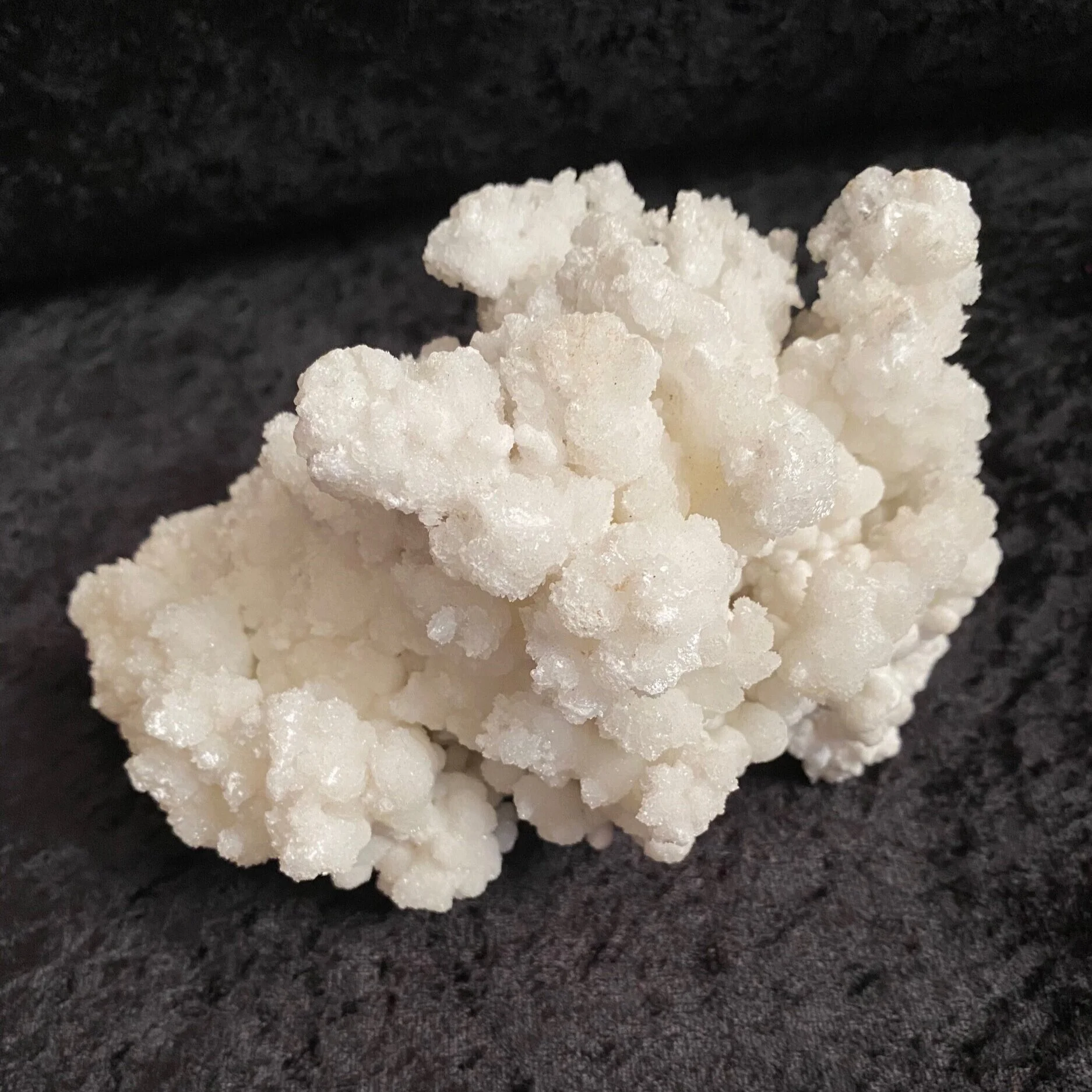 1BB05C91-96D6-4BEA-882B-0DD25546AE1C