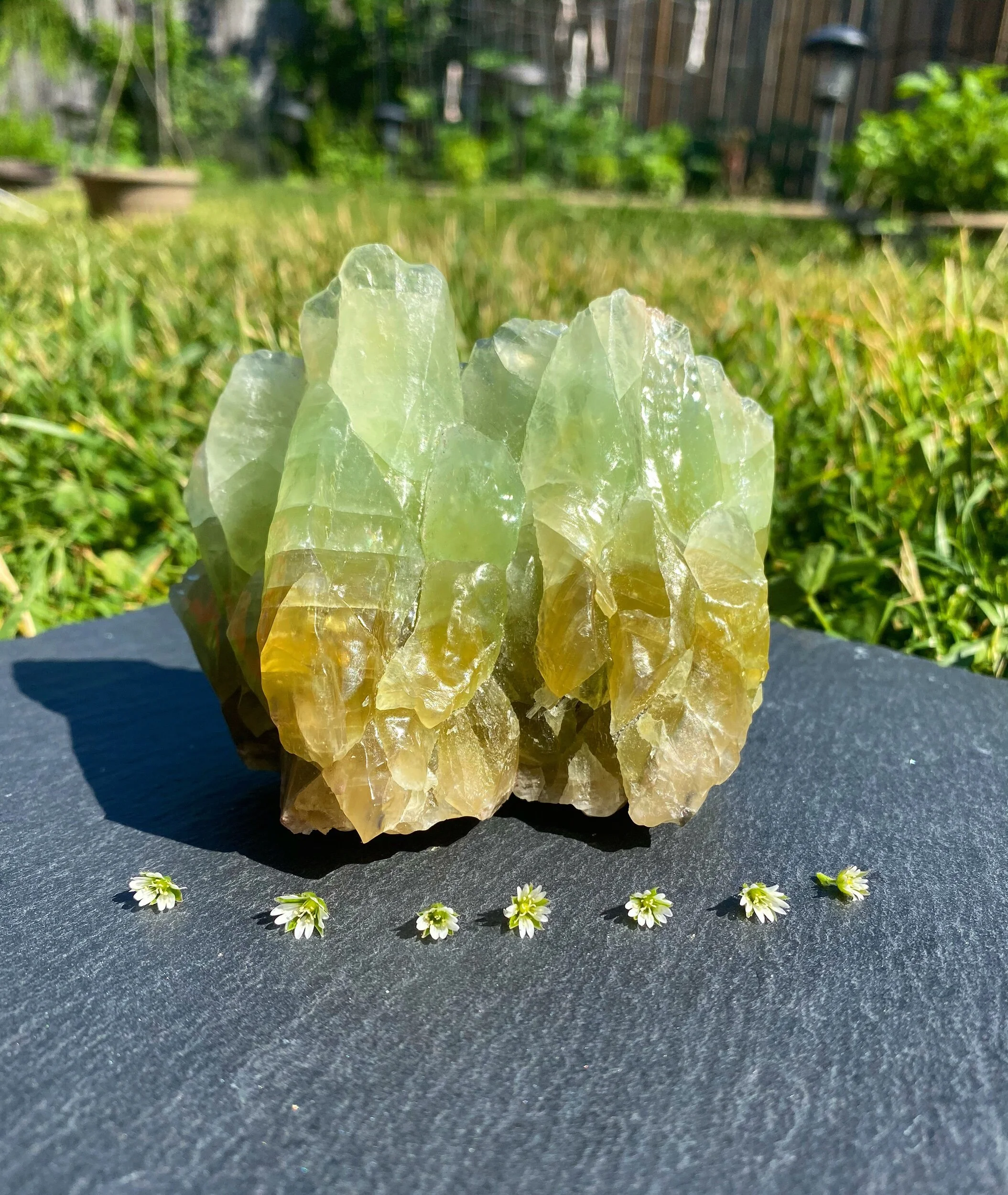 E816FA2F-38F6-4BE6-8DEC-5F32144362FB