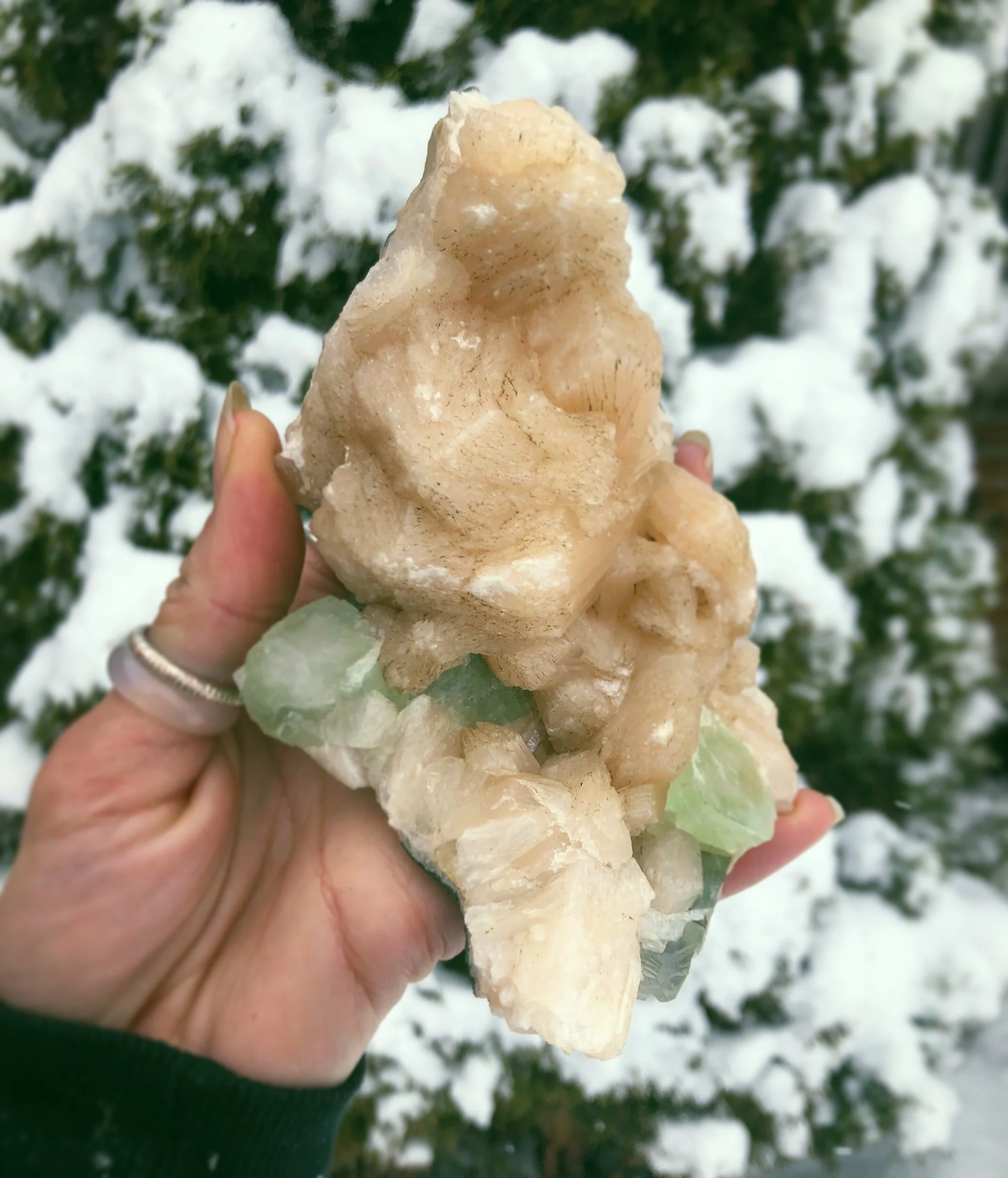 64168F61-7DE0-42CE-B74E-027694854FCC