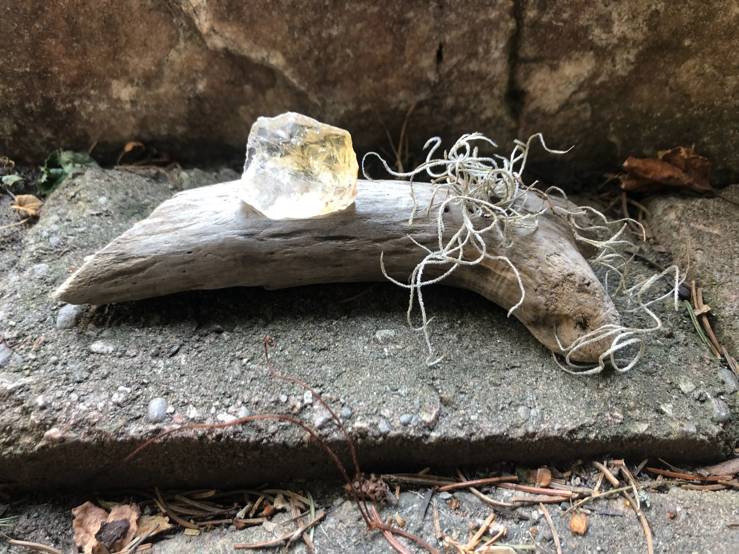 Citrine , Spanish Moss & Driftwood Sculpture