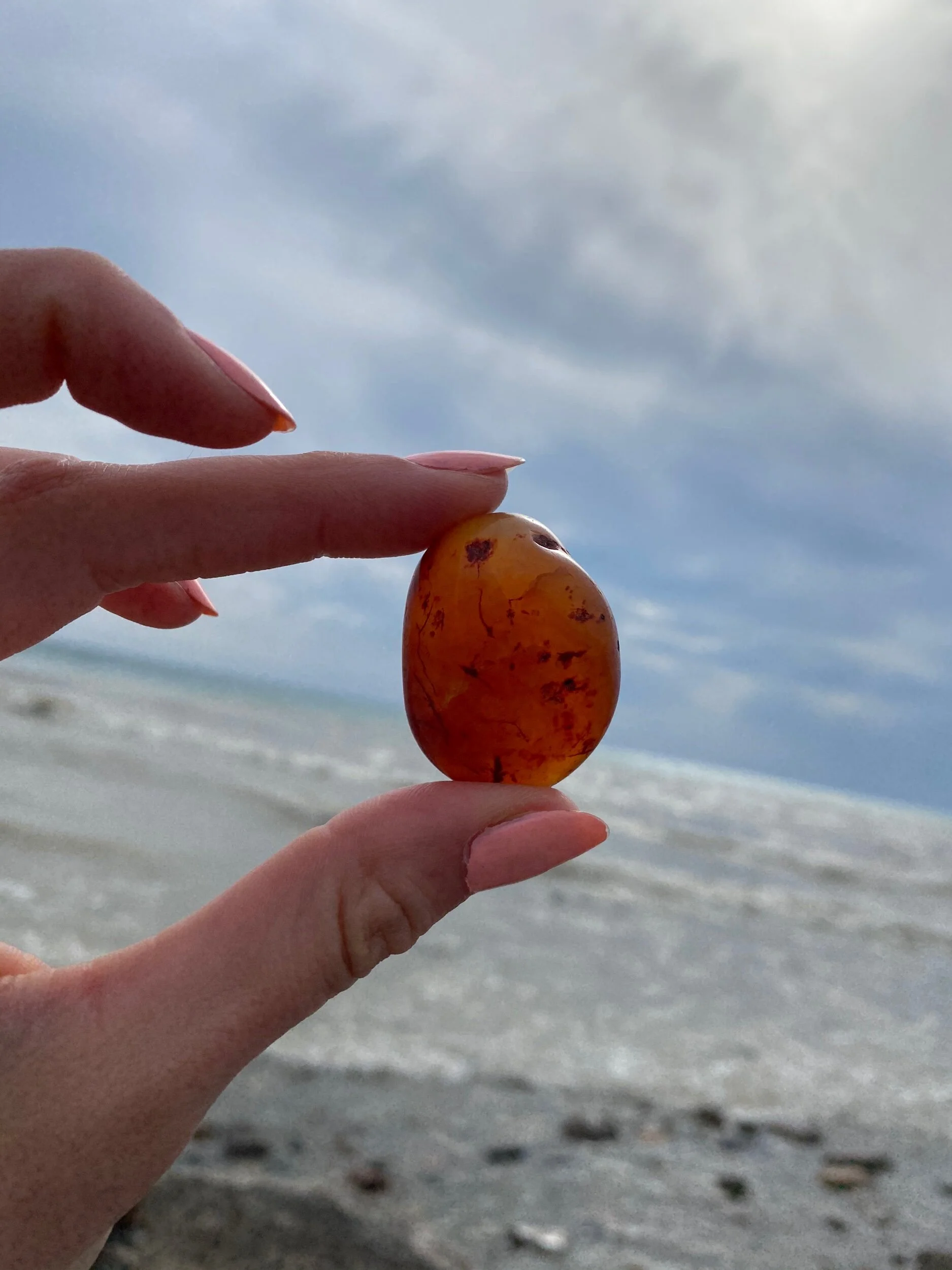 7DFF00E2-7130-4AC3-9DDA-2F47AACC78C8