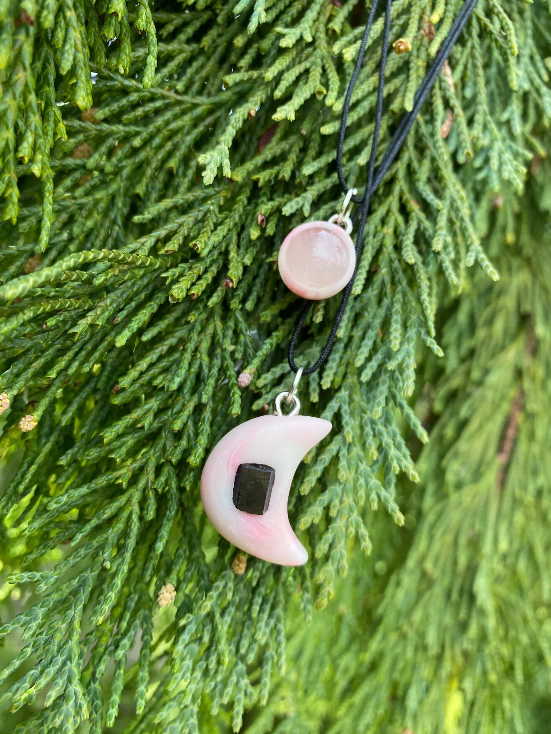 CCE8CC88-8723-4755-AE8D-3B02154A2CA0