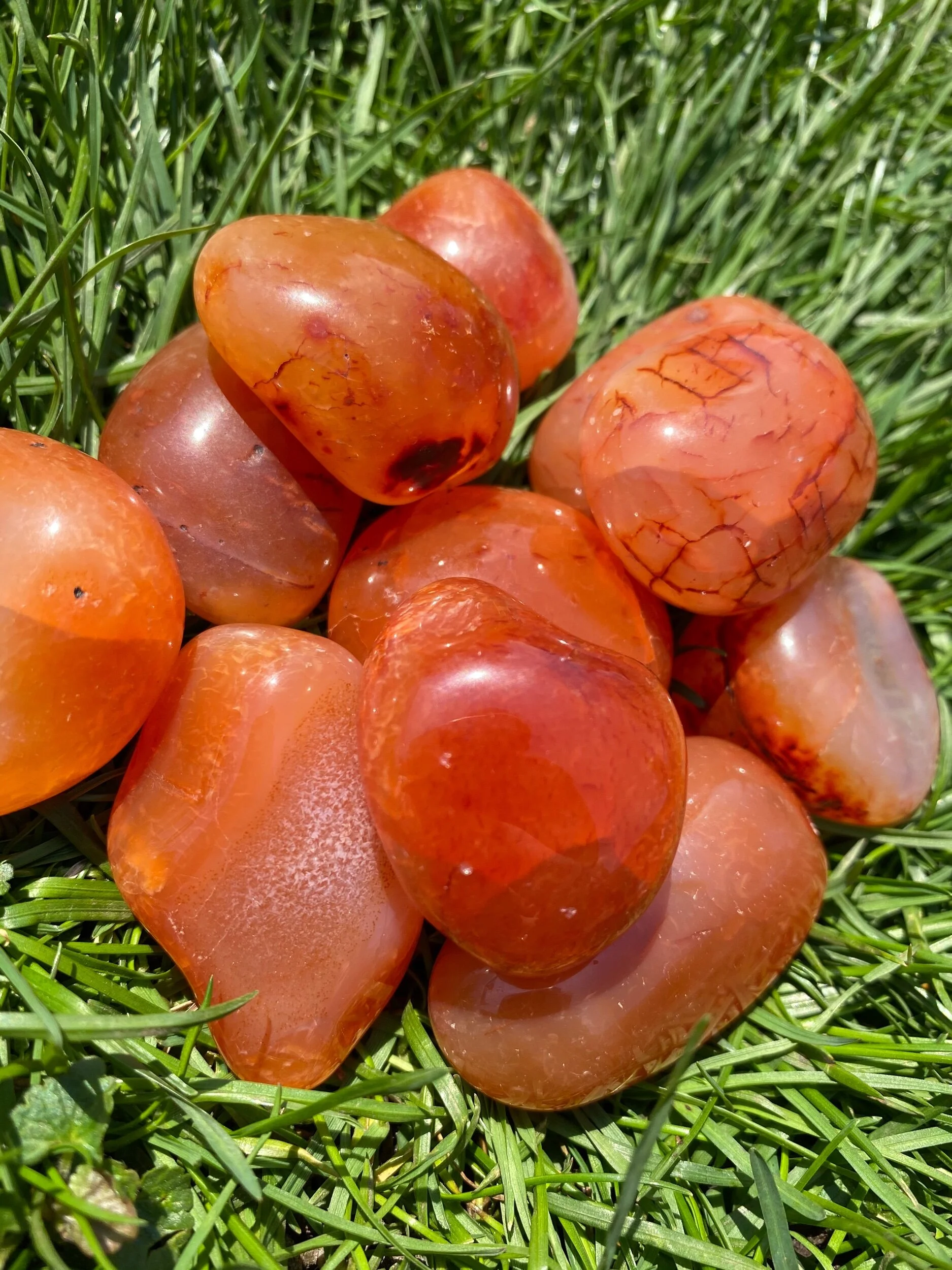 9FD3F277-4C80-48BF-BB8D-820A0B3205D5