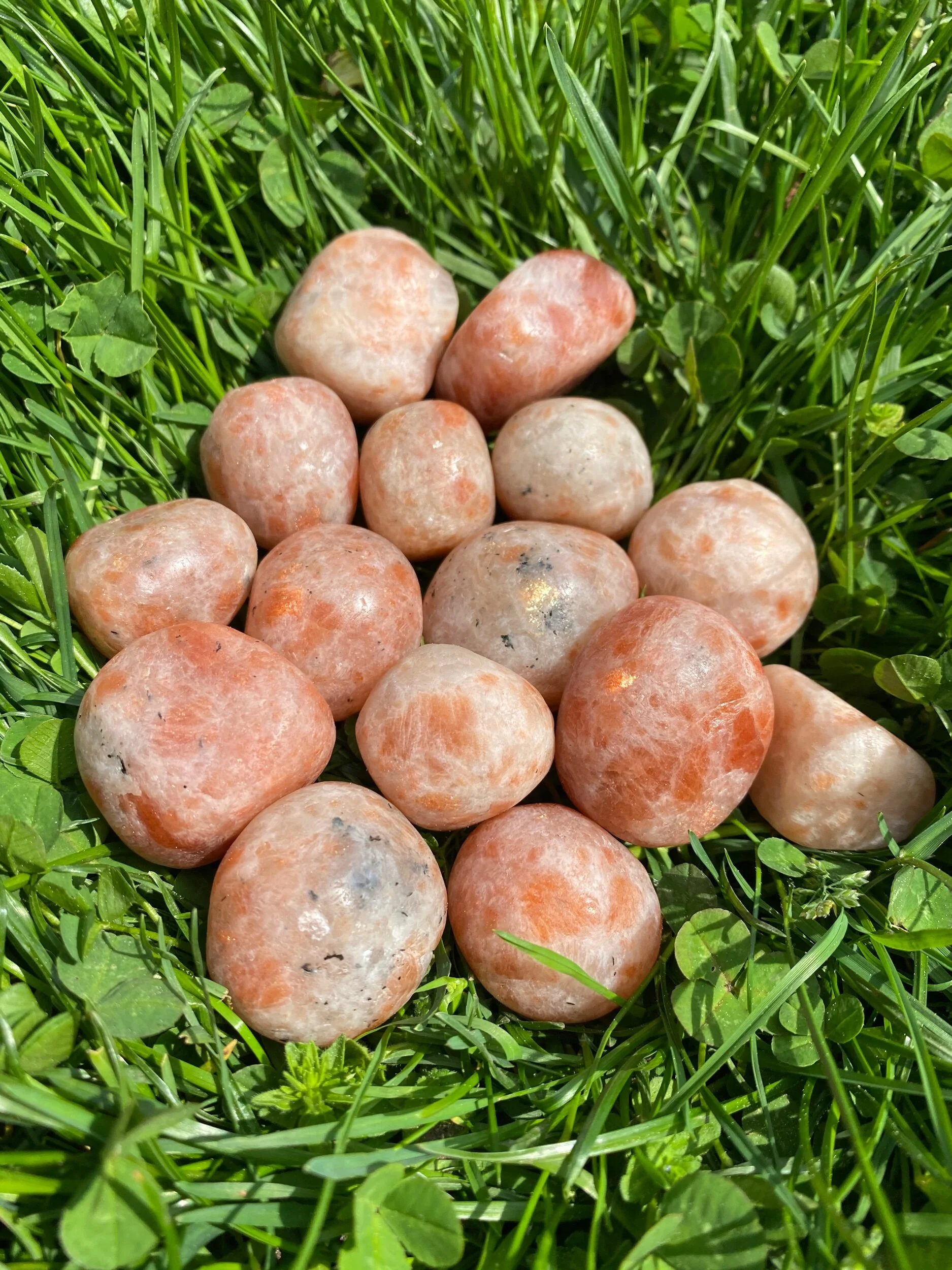 2BBDB4FC-145C-4FDF-B41B-374A5A7AEA97