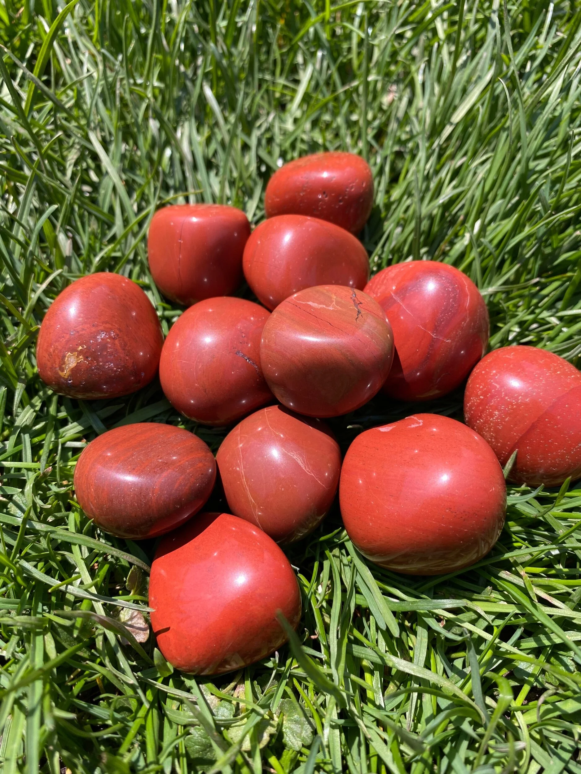 DAE70984-E77C-43E5-88B8-106C61785FF6