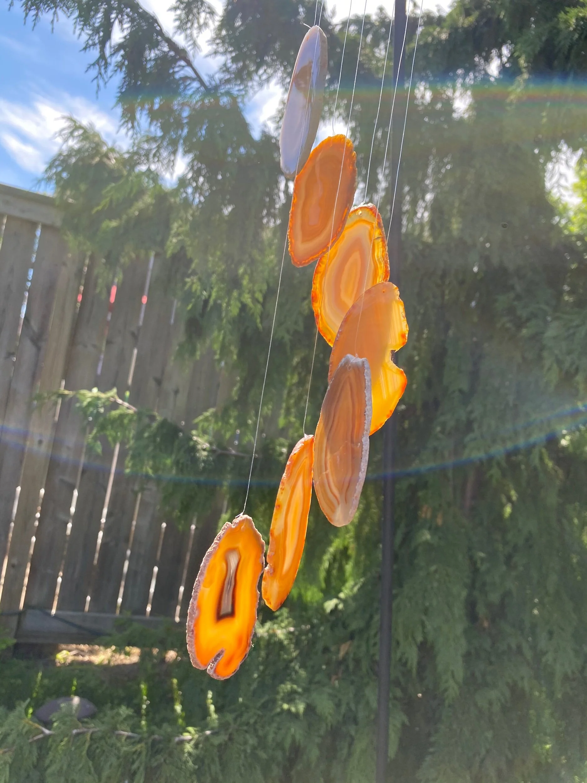 EF0BB933-F978-4D35-AA67-95757B14FE3E