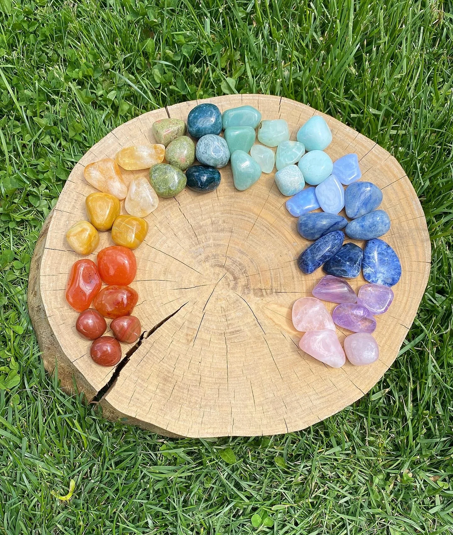 A00C02DE-32B5-4B25-8867-069BACA16484