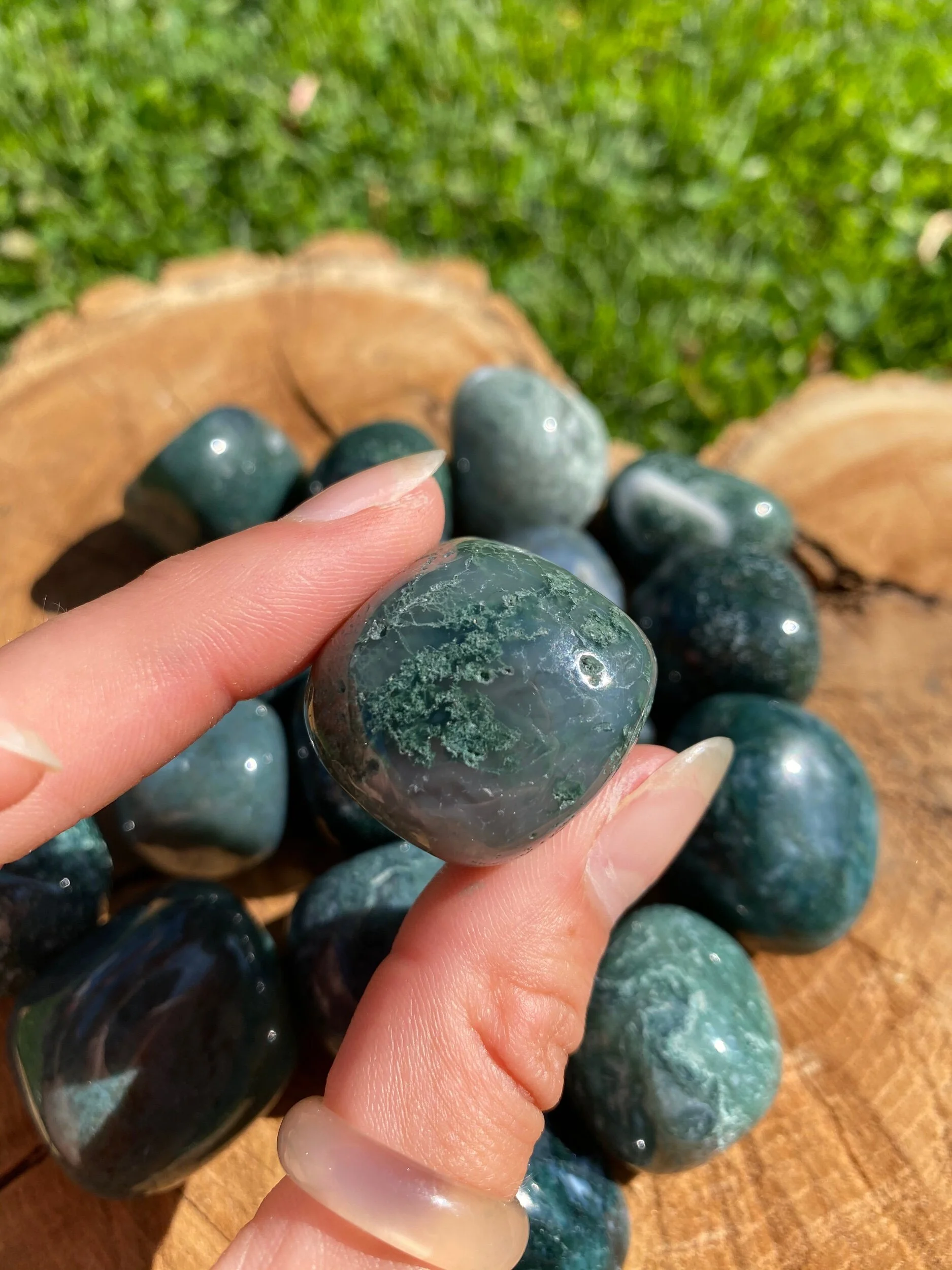 1AED33D3-5B25-48C4-AF0F-771DE7C49792