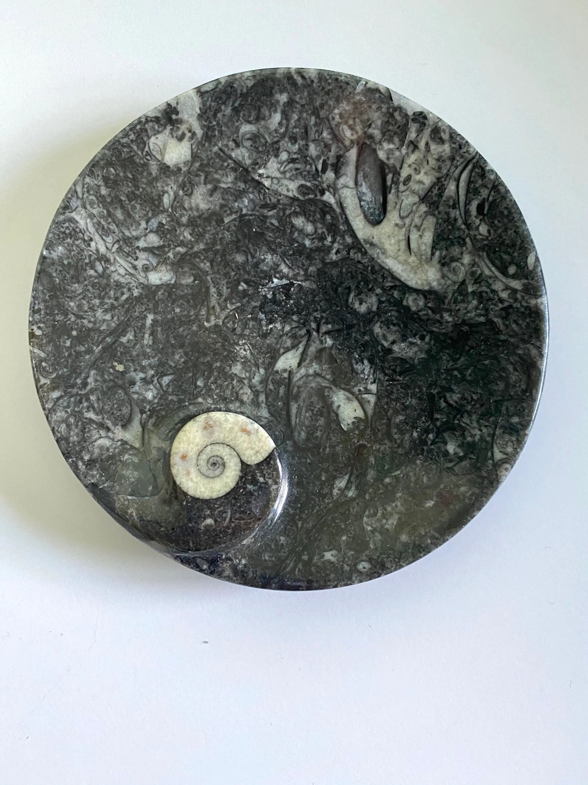 FE384681-E250-4D03-838E-D5D19BCA4C0A