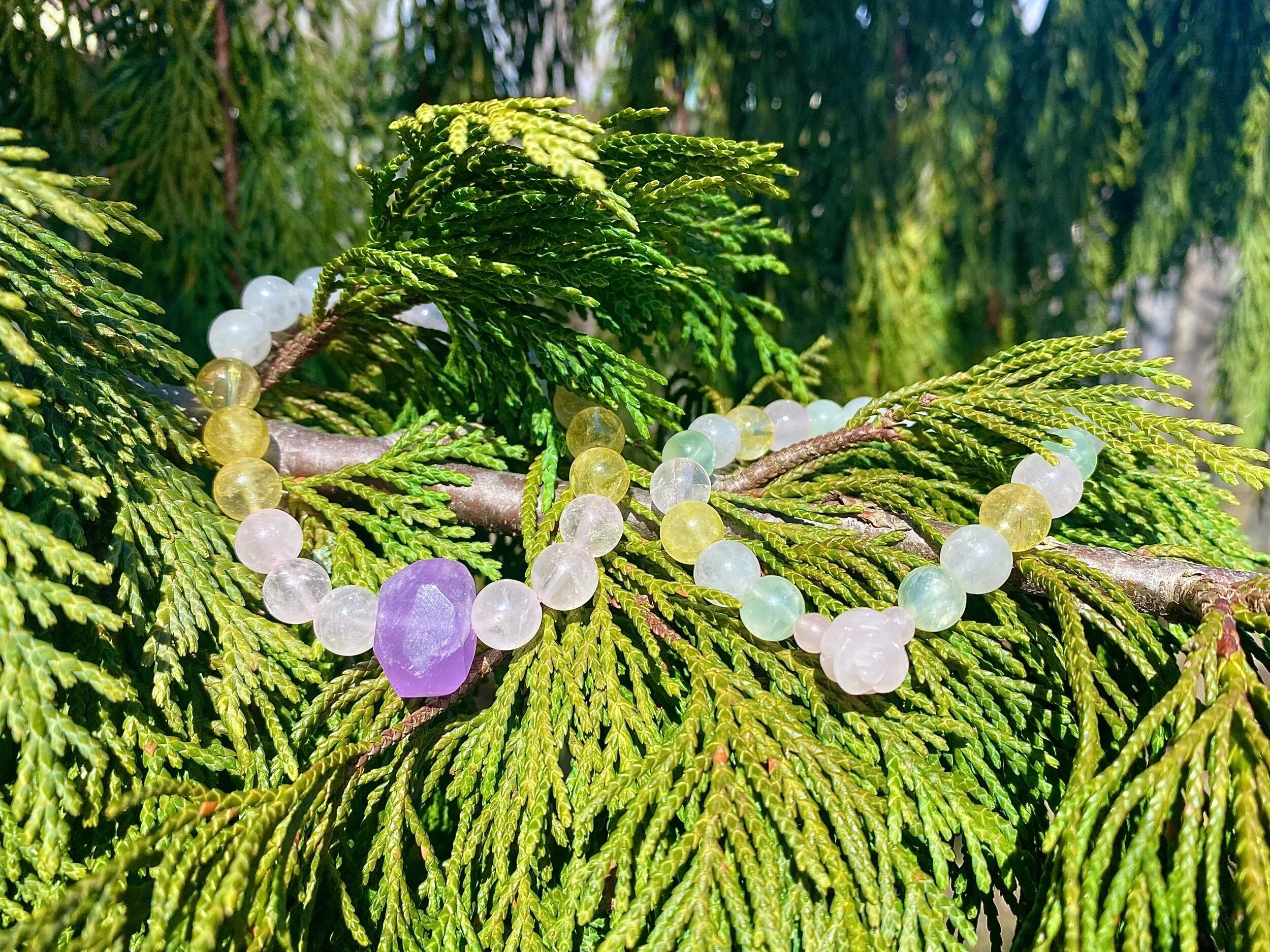 AADB0D47-2614-44AE-8FD5-C9FE85480FA9