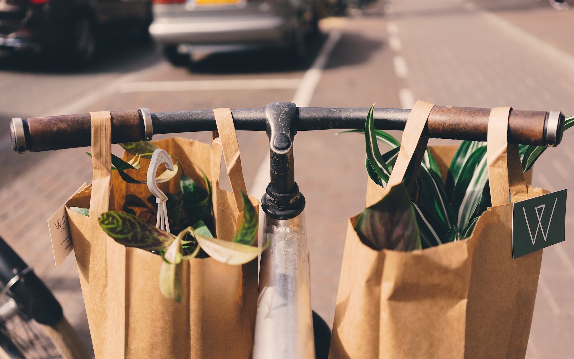 transporting groceries on Marthas Vineyard.jpg