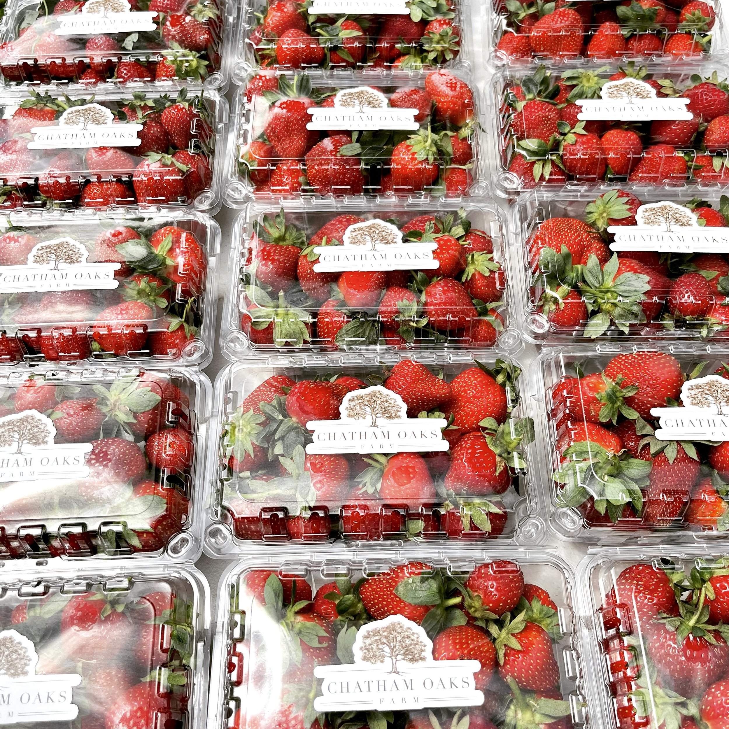 quarts of strawberry quart clamshells with Chatham Oaks Farm stickers