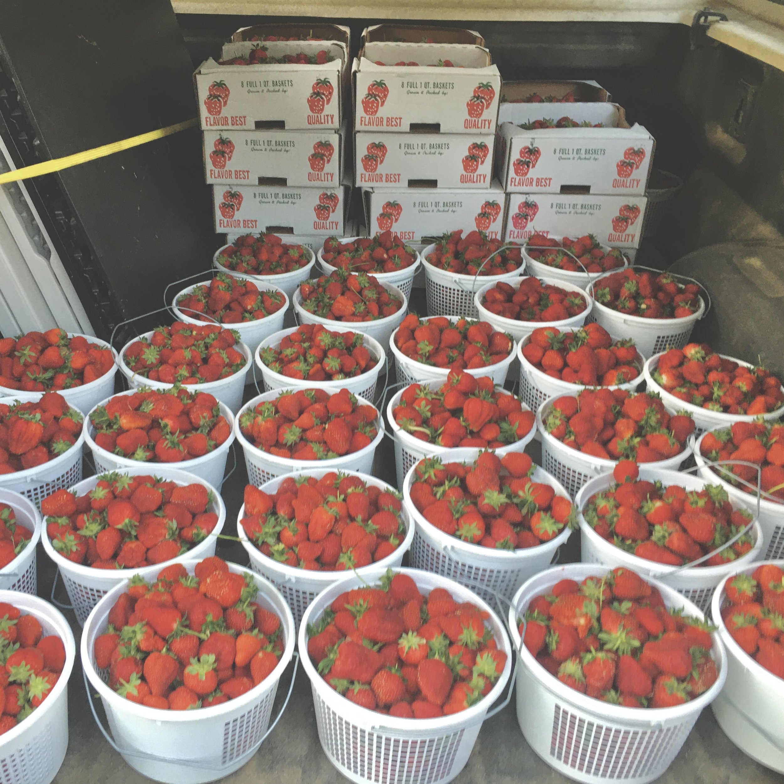 many buckets and boxes of strawberries loaded in a truck
