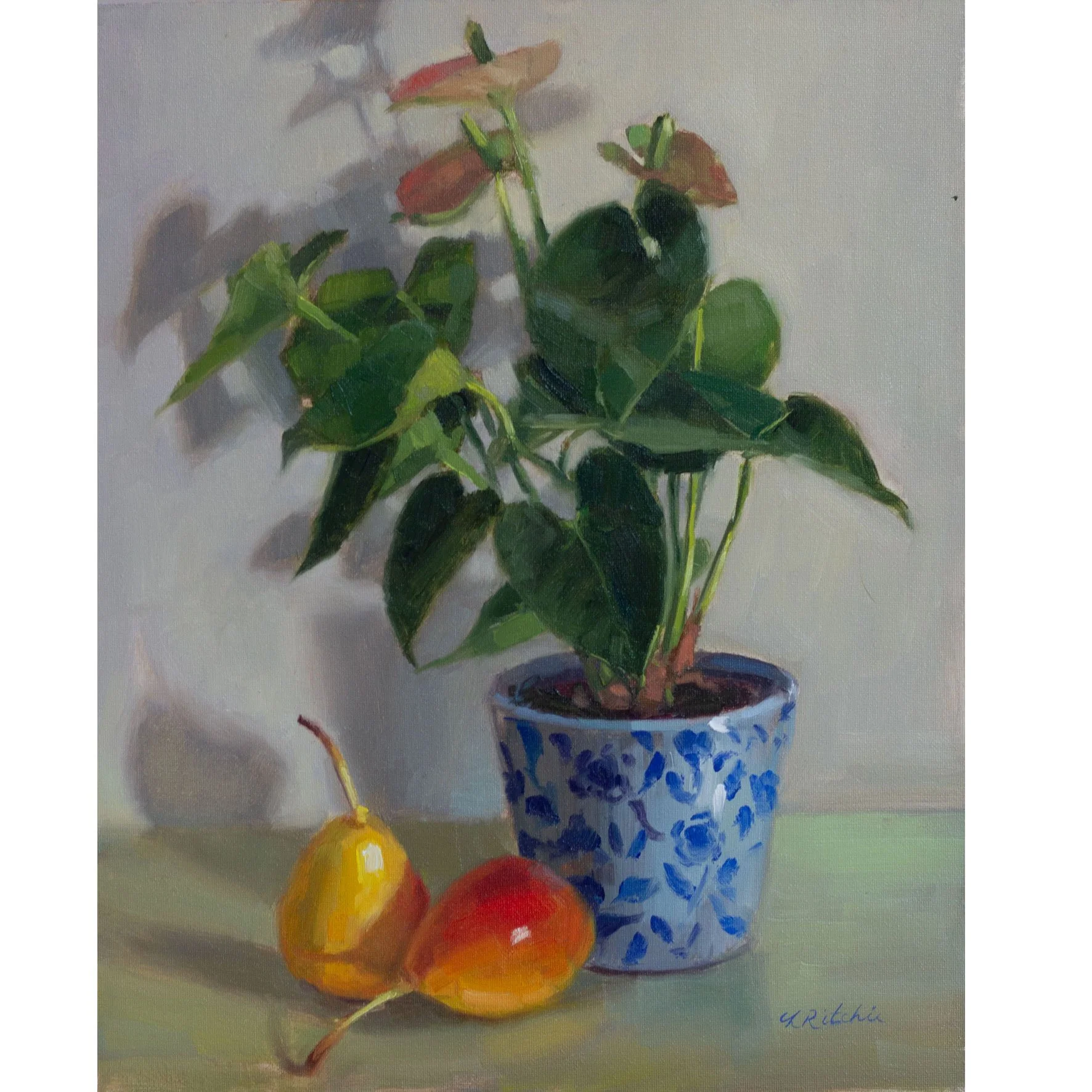 Anthurium and Pears