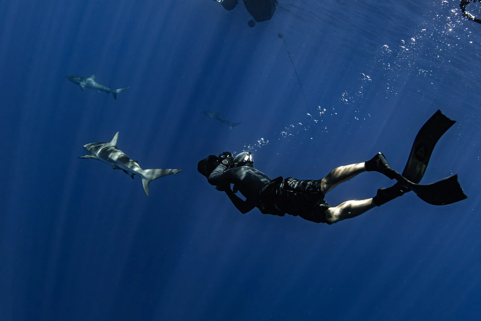 Freediver photographing Galapagos sharks in deep blue water, illustrating a natural-light, behaviour-focused approach.