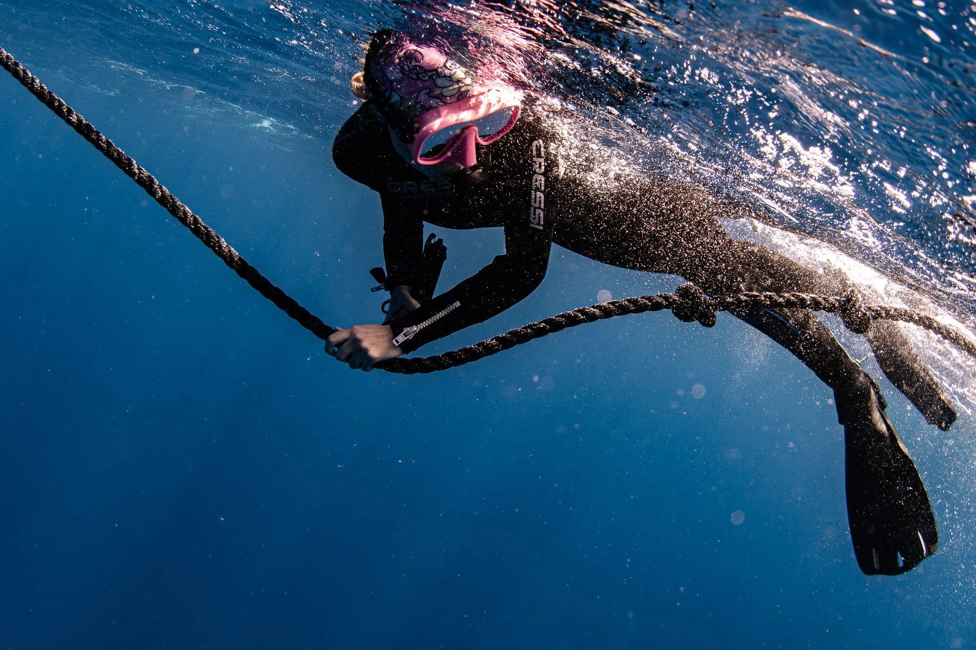 Shark Diving- Oahu, Hawaii.jpg