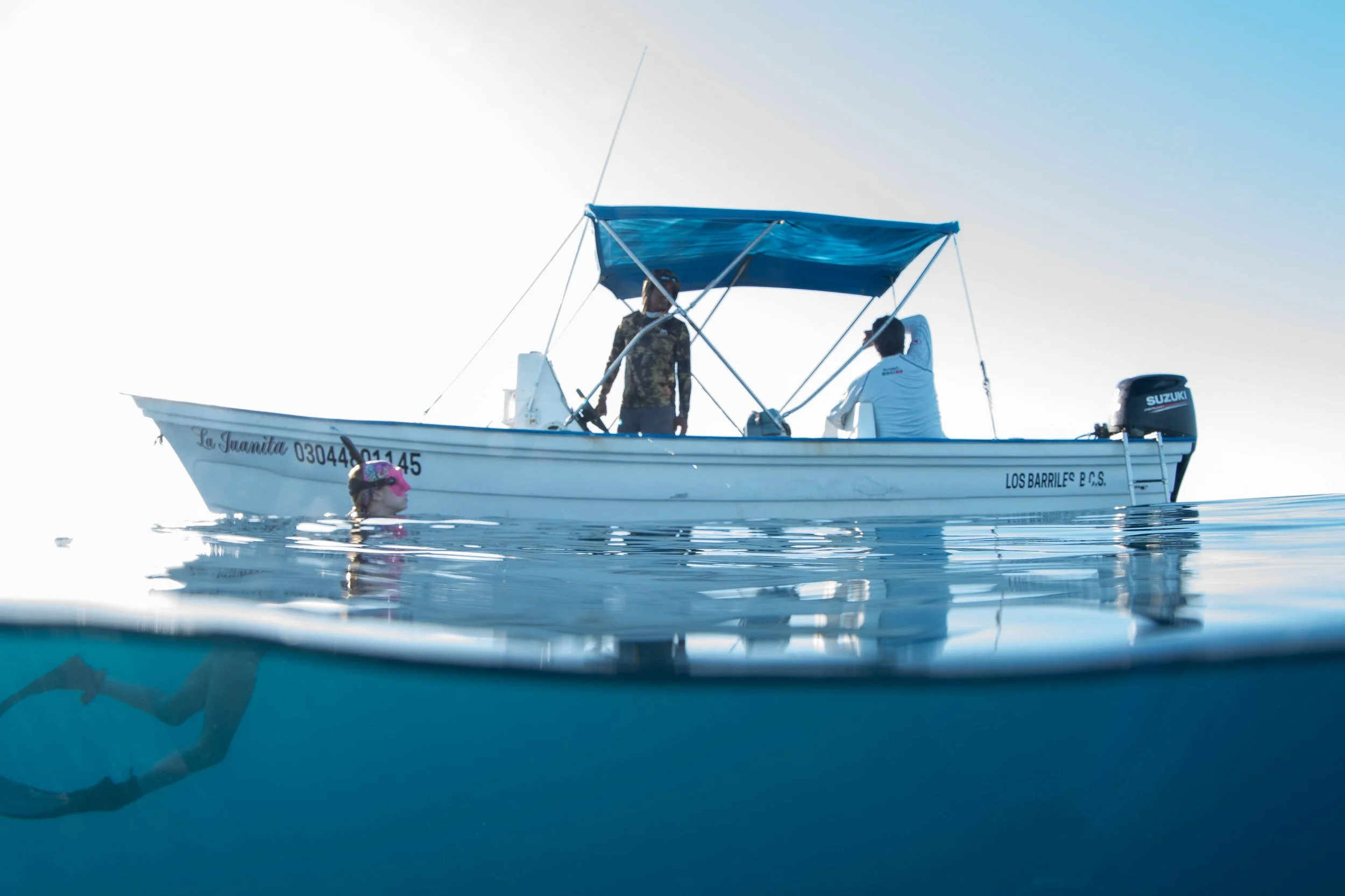 La Ventana - Freediver Boat Split Shot.jpg