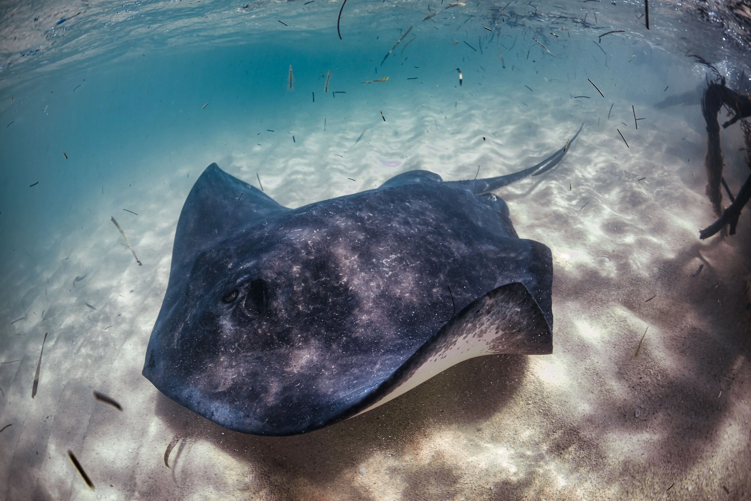 Honeymoon Lagoon.jpg