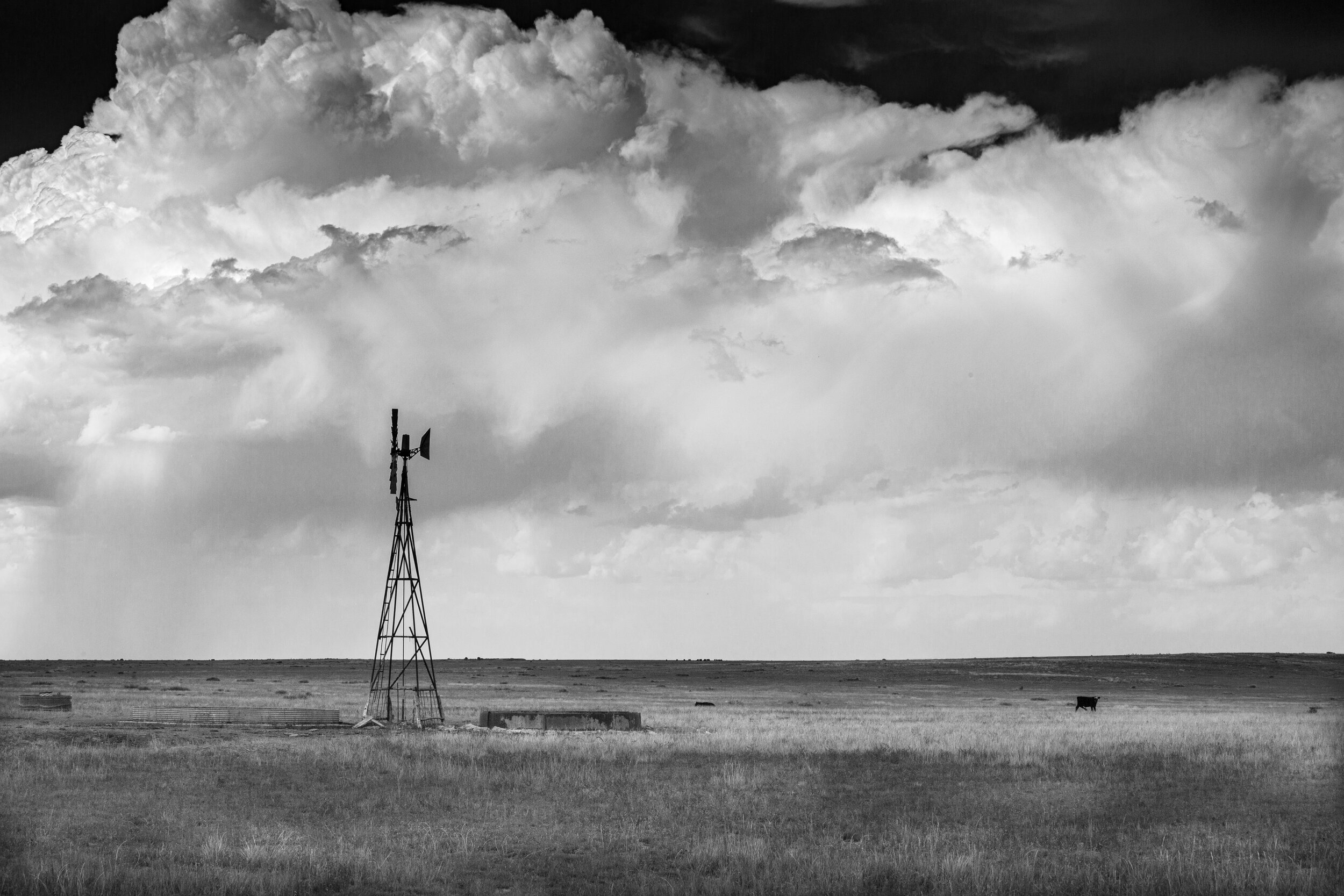 Windmill_2_BW.jpg