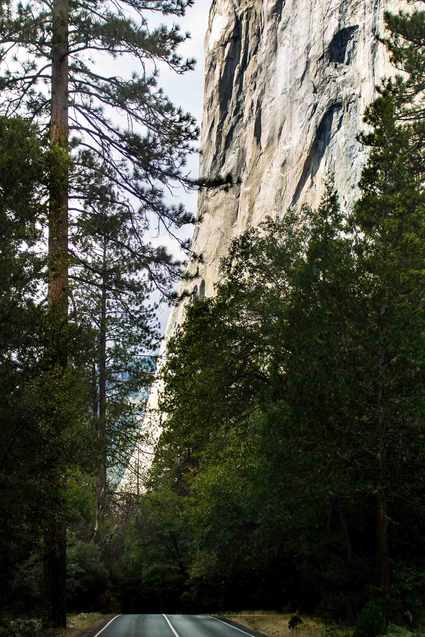 california_IMG_1434-Edit.jpg