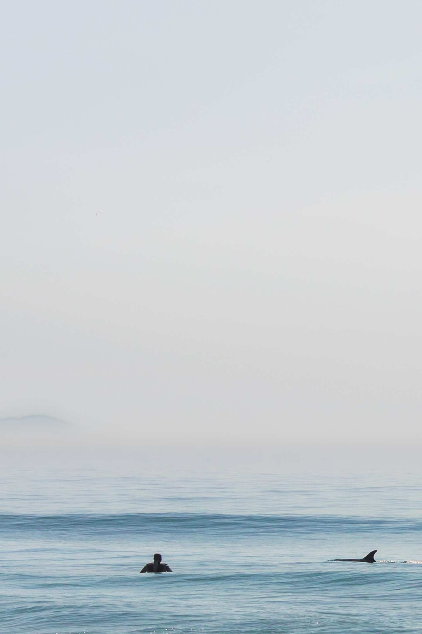 california_IMG_1713-Edit.jpg