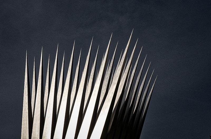 P5100154.png