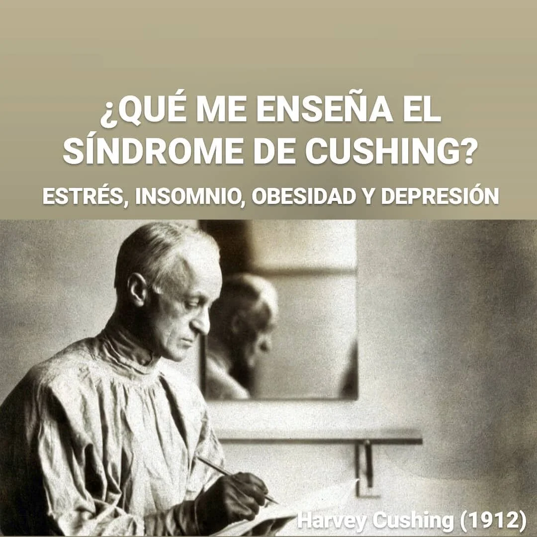 En 1932 el neurocient&iacute;fico, Harvey Cushing, descubri&oacute; una enfermedad que hoy lleva su nombre. El s&iacute;ndrome de Cushing, tambi&eacute;n conocido como hipercortisolismo.

Sus causas m&aacute;s frecuentes son los tumores o anomal&iacu