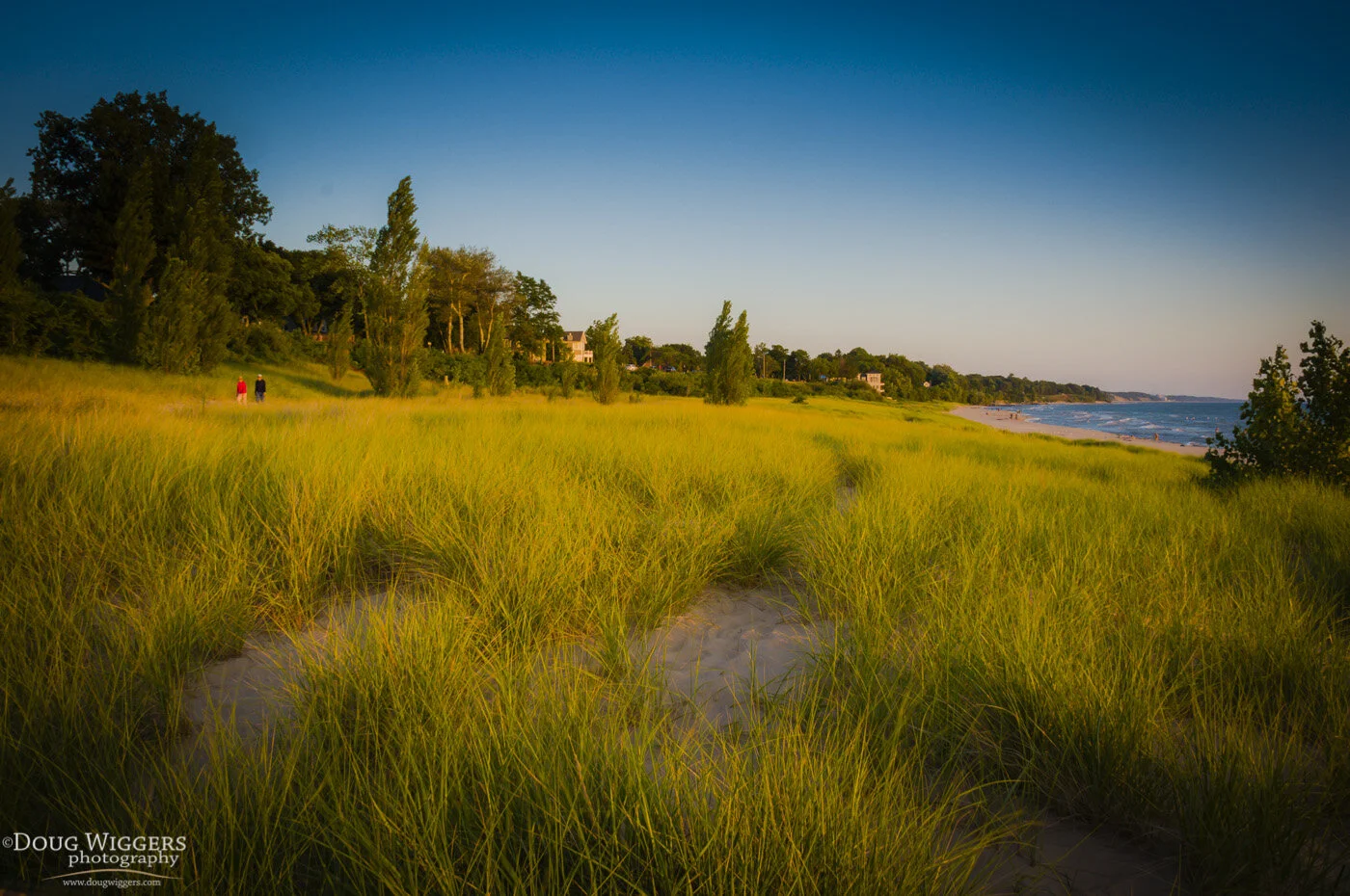 SH_WalkThruTheDuneGrass_wm.jpg