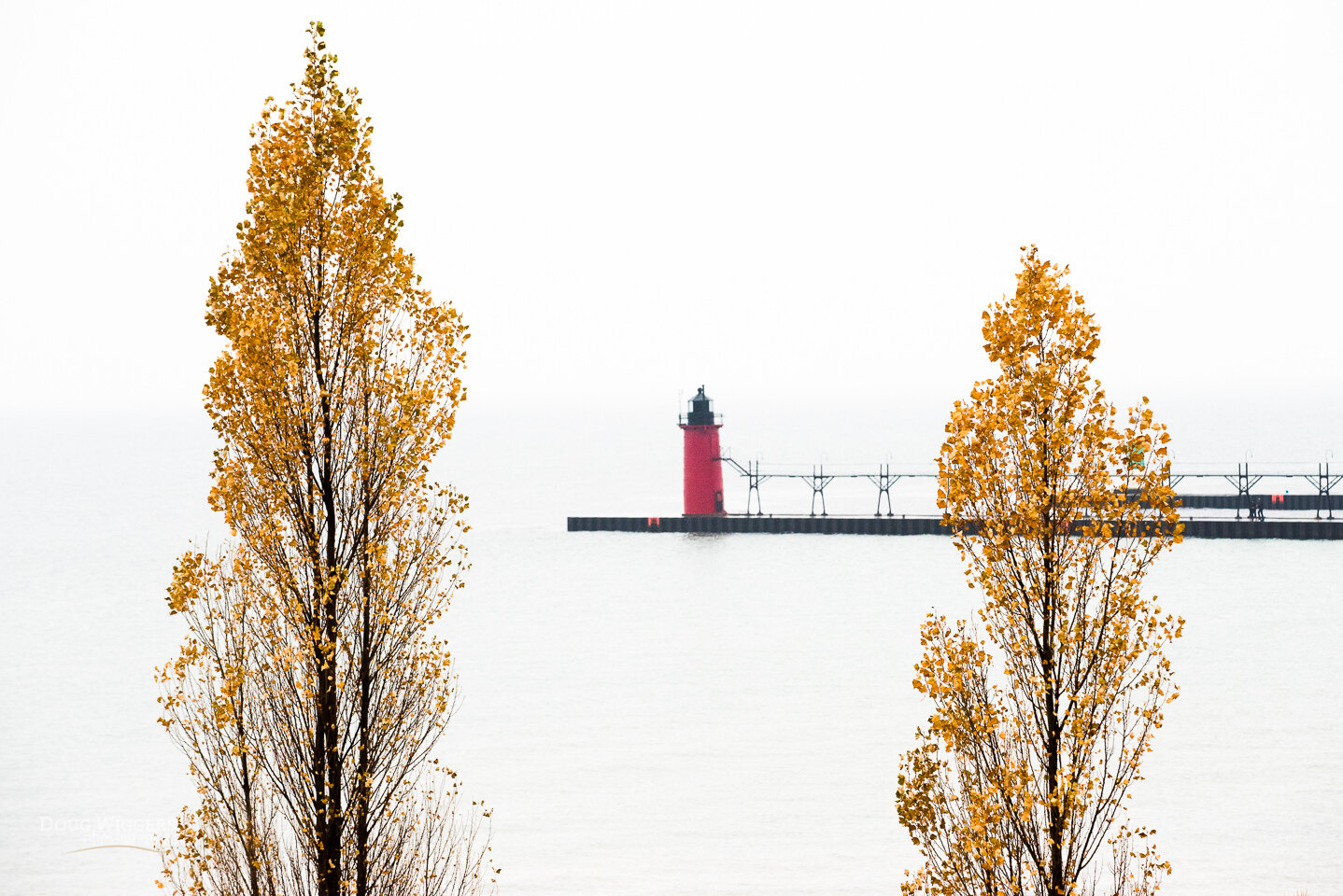 SH_TreesAndLighthouse.jpg