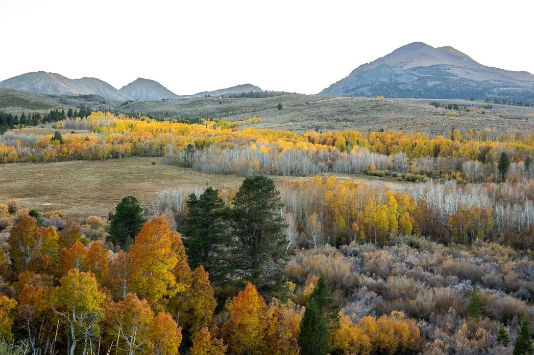 Favorite Images of 2025