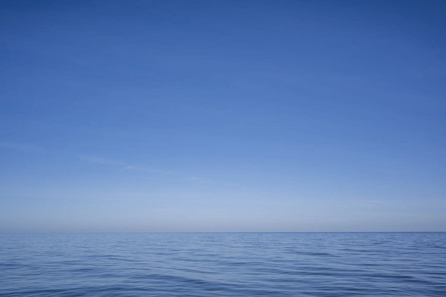 _DSC9110.jpg