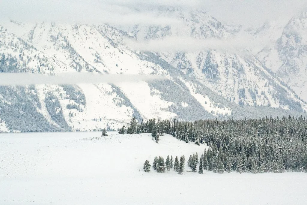 Yellowstone & Grand Teton
