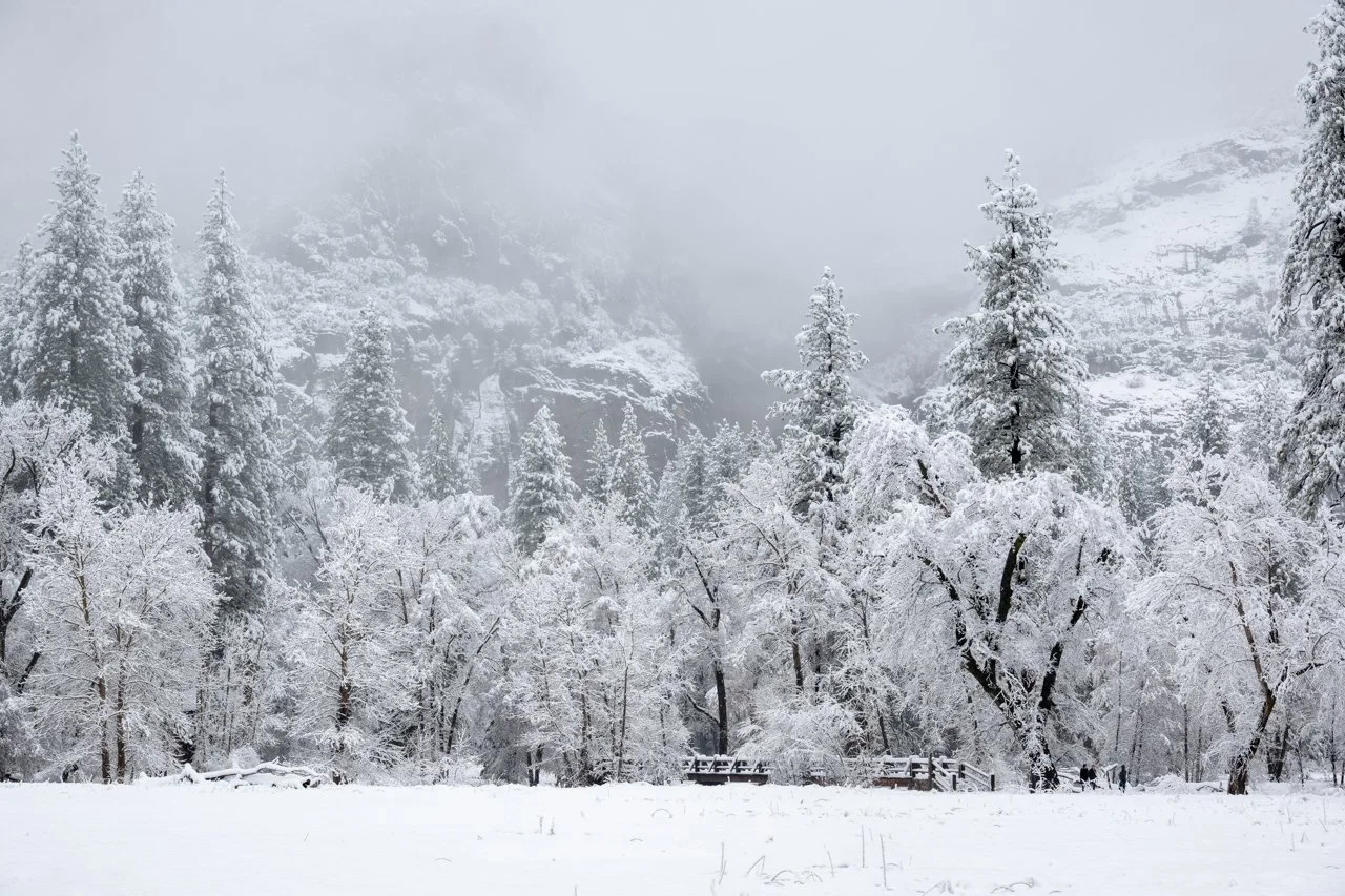 Freshly fallen snow in Yosemite Valley