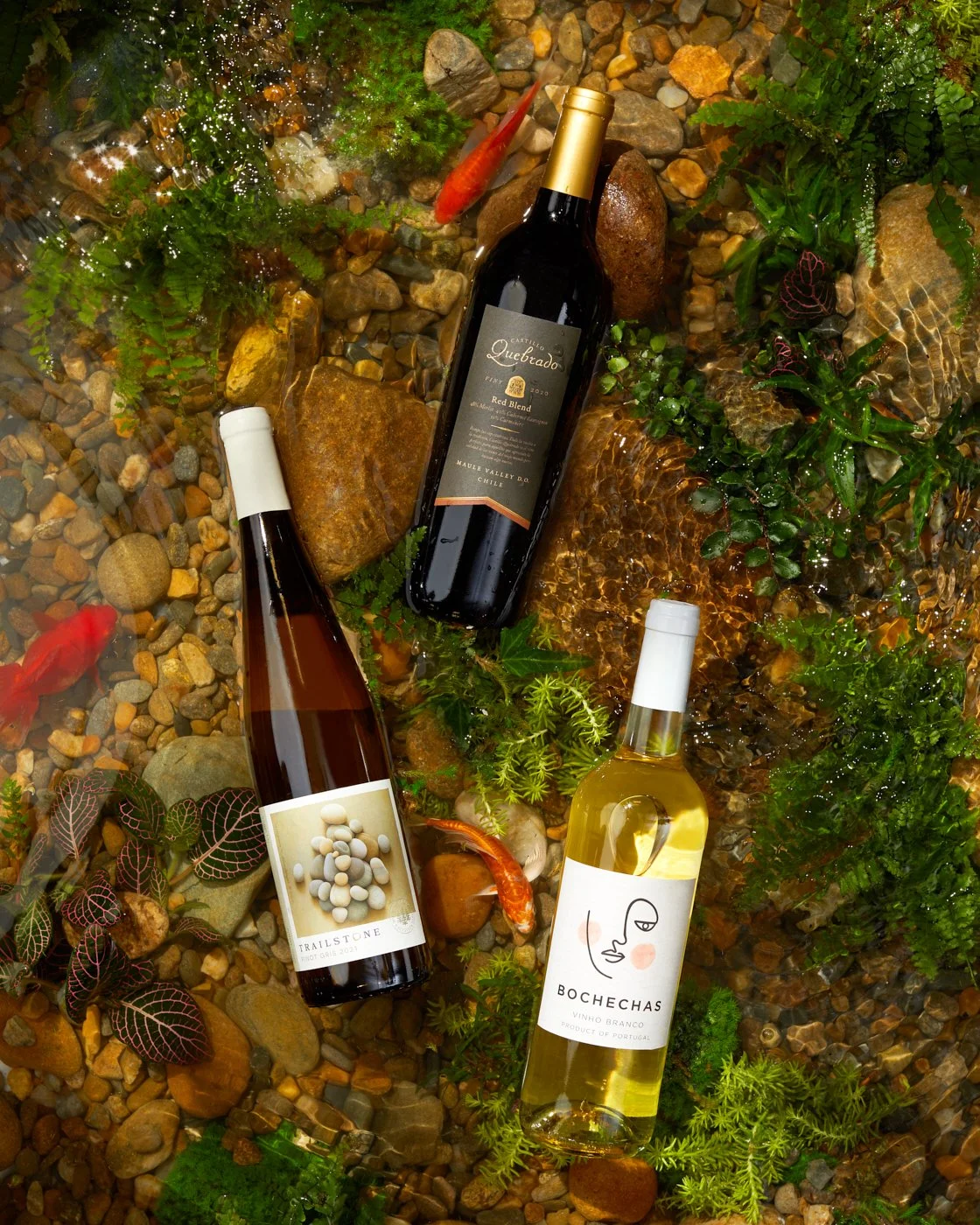 commercial-photography-firstleaf-wine_2.jpg
