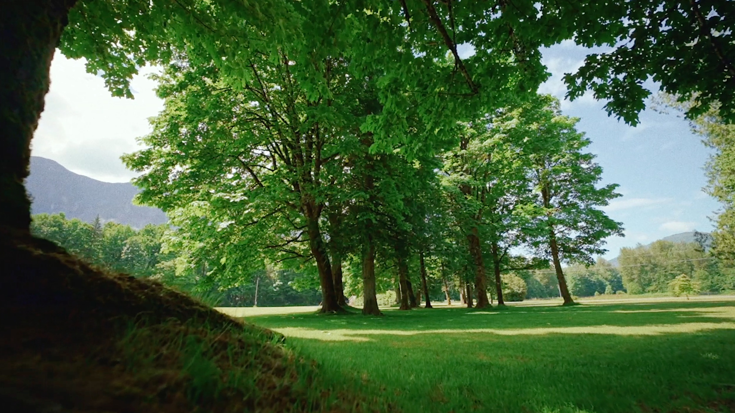 Screen Shot 2025-06-26 at 6.20.32 PM.png