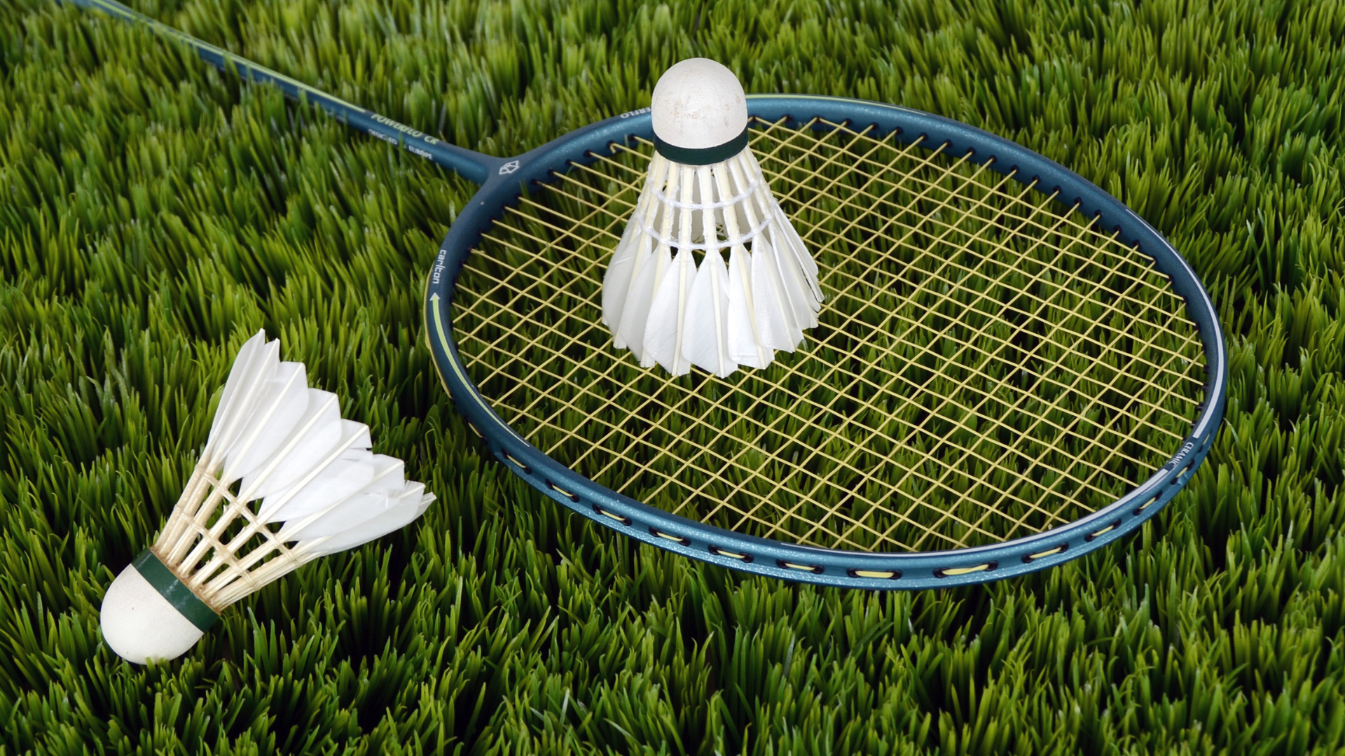 MCWAS Events Website Widget (39).png