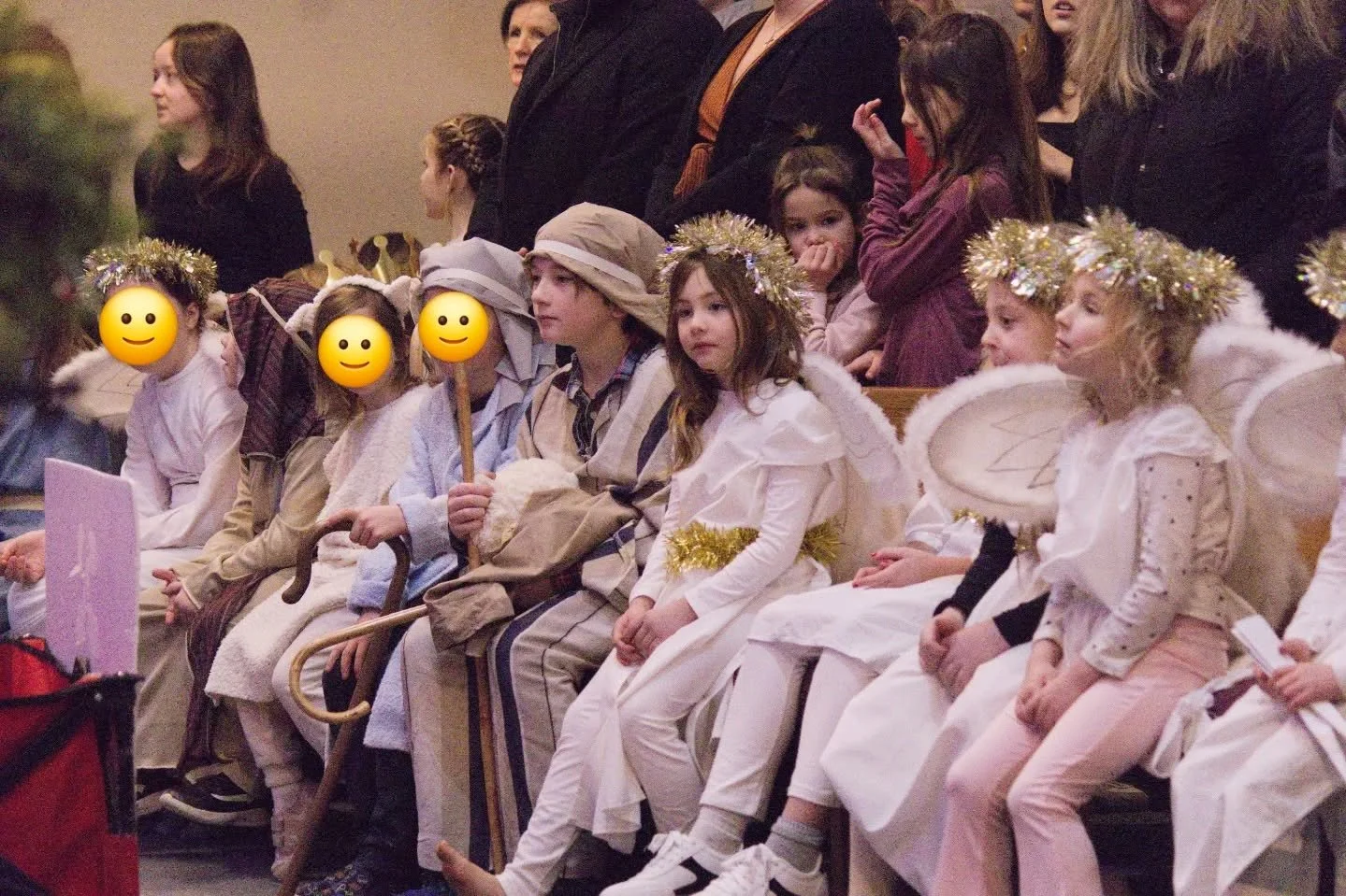 Our Nativity is many things... boring is not one of them!
📷Samm Huff
#northgowercornerstone