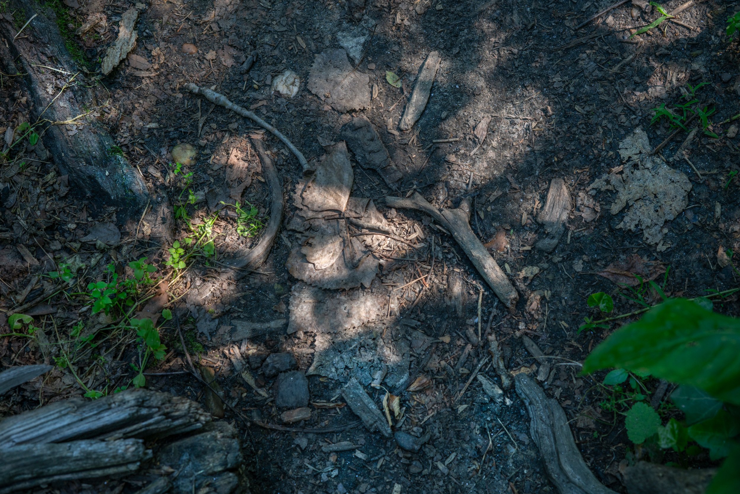 DSC09632-Edit.jpg