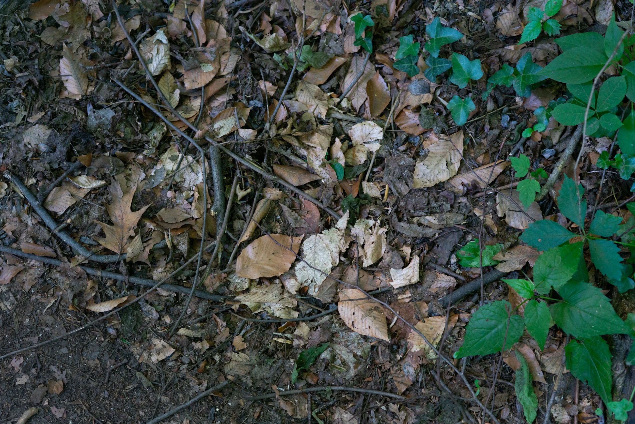 DSC09643-Edit.jpg