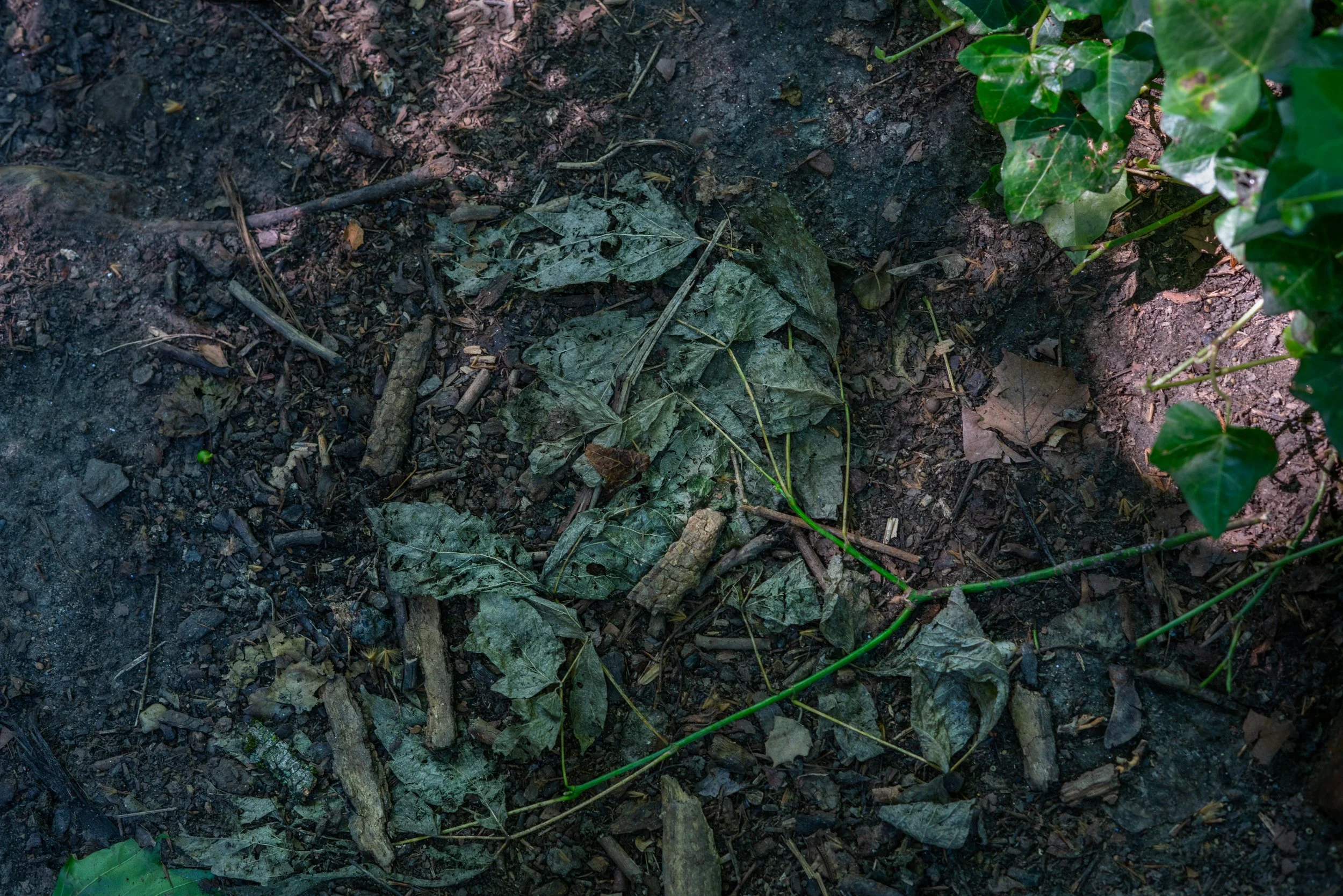 DSC09636-Edit.jpg