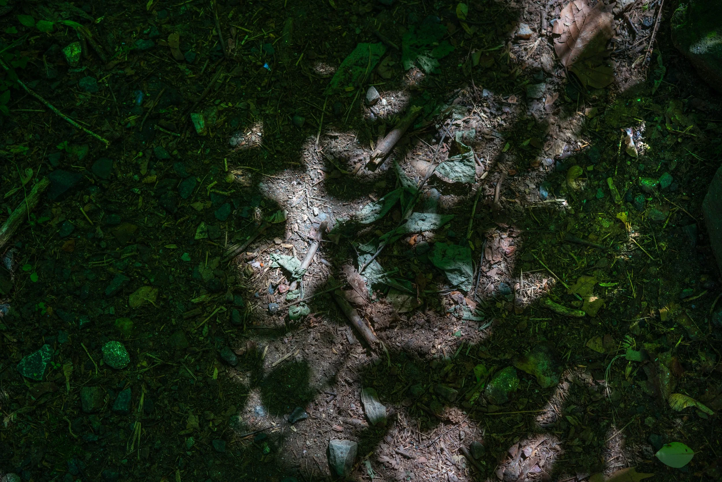 DSC09638-Edit.jpg