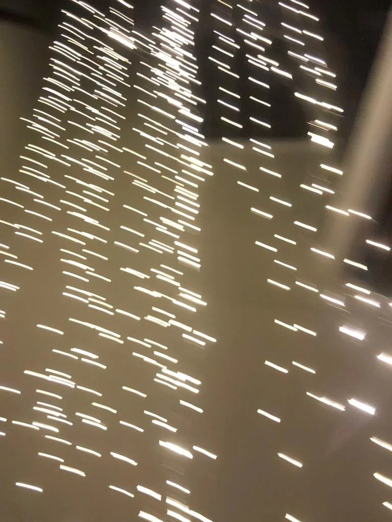 Meditación de Gratitud, Compasión de Gregg Braden.