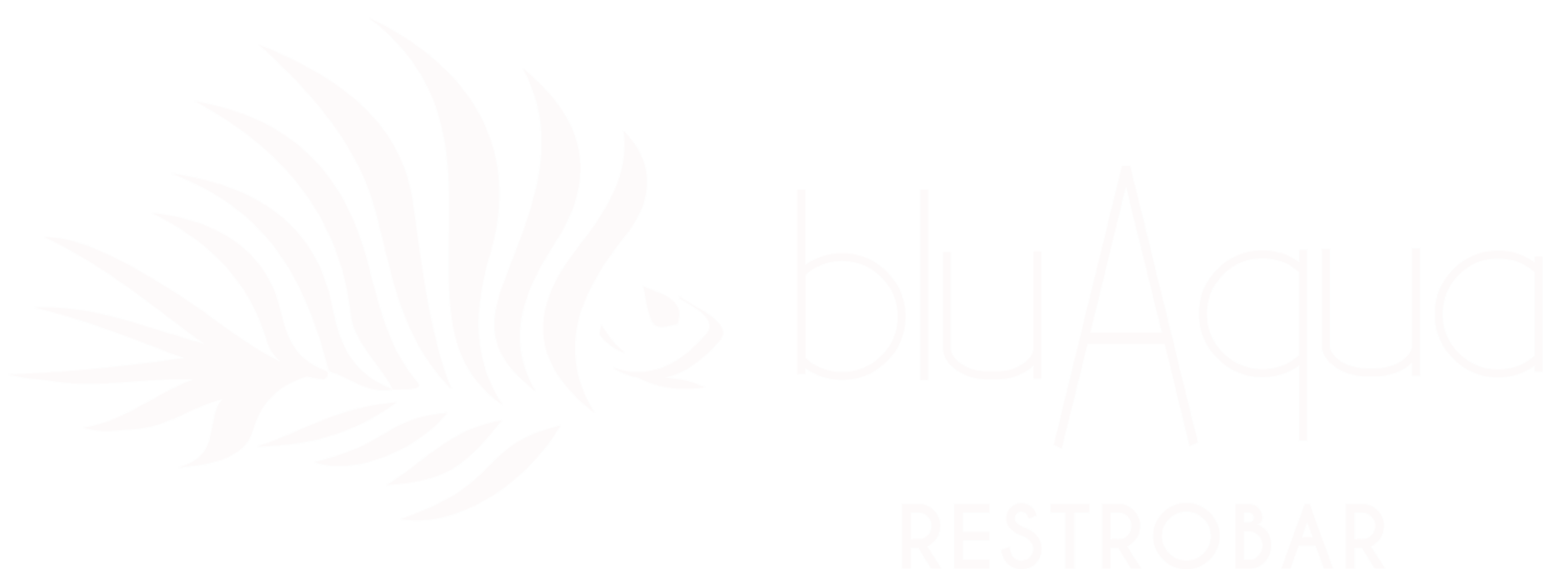 BluAqua - Best Restaurant NH