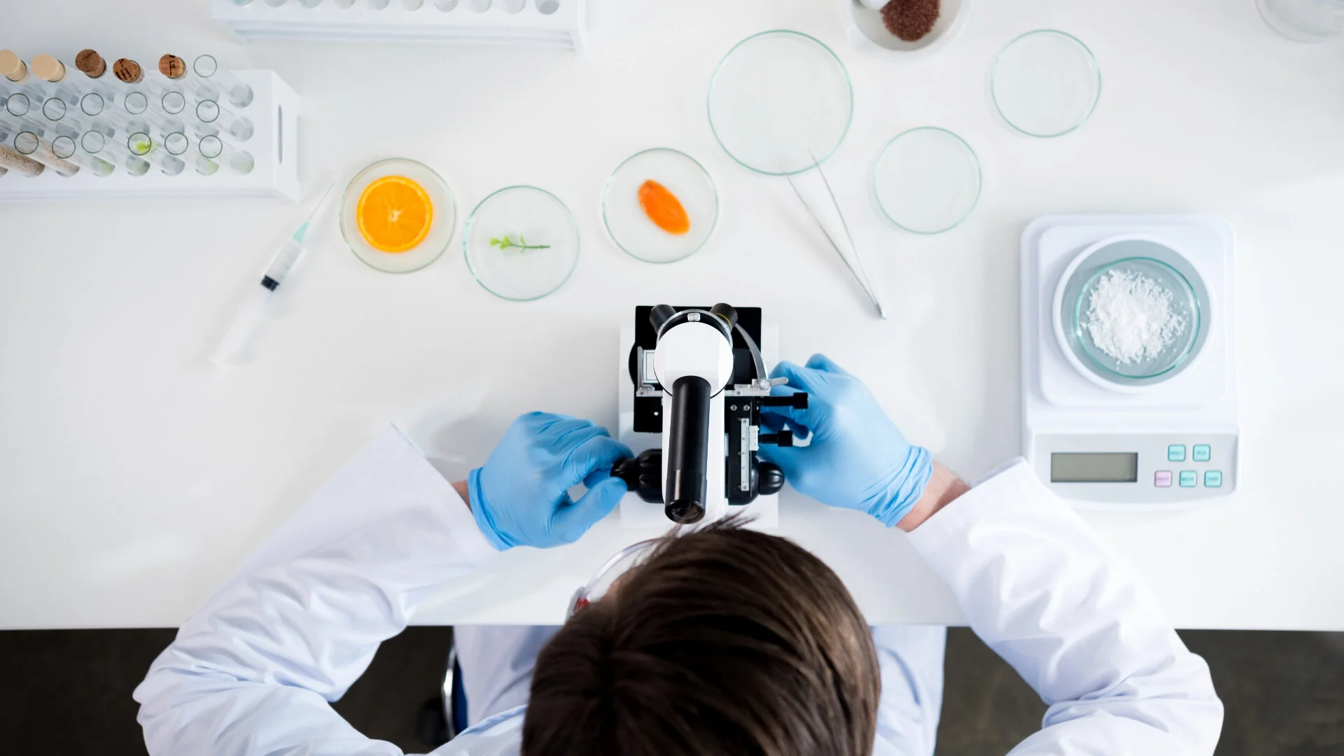 The Science Entrepreneur Club