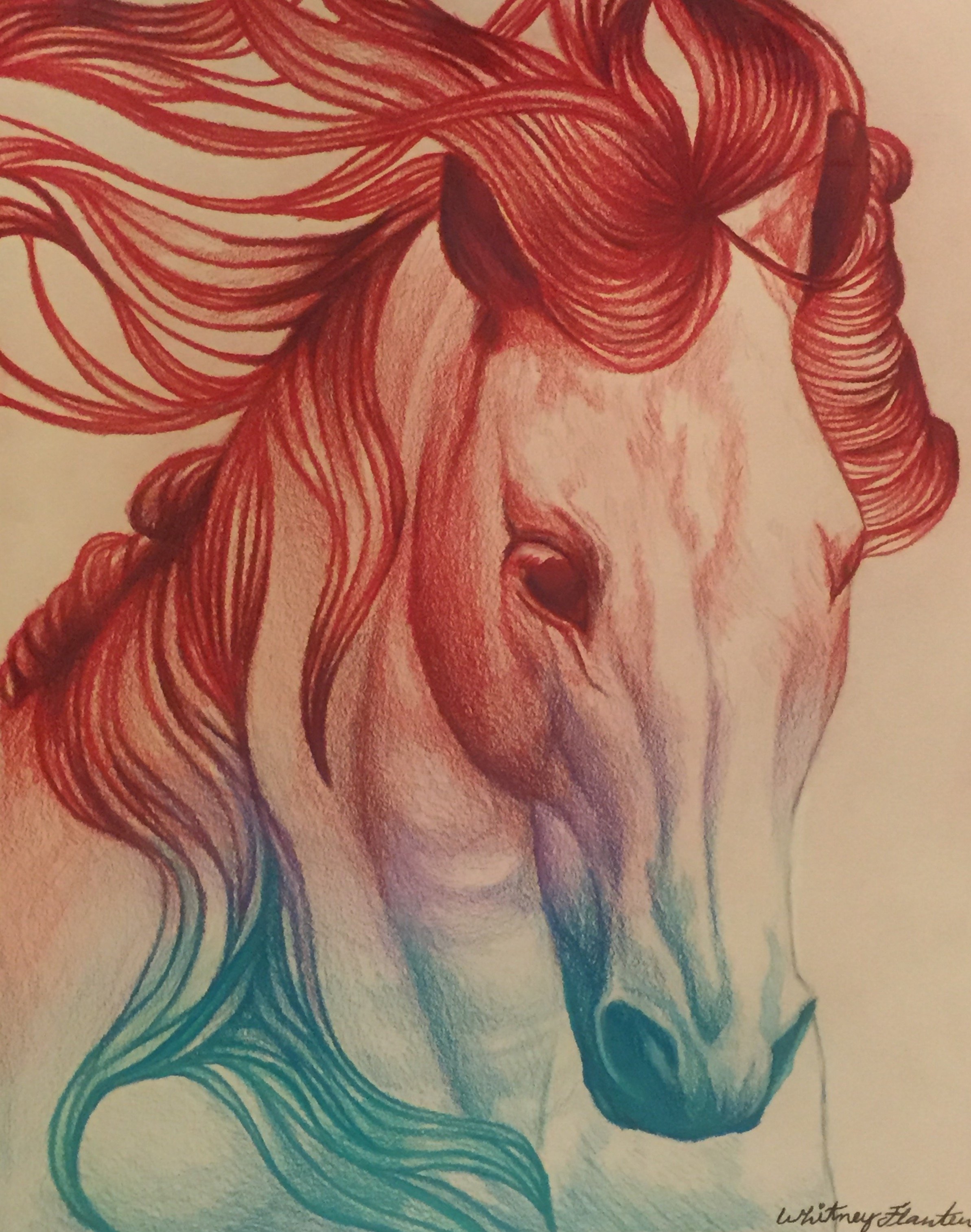 HS Horse Gradient.jpg