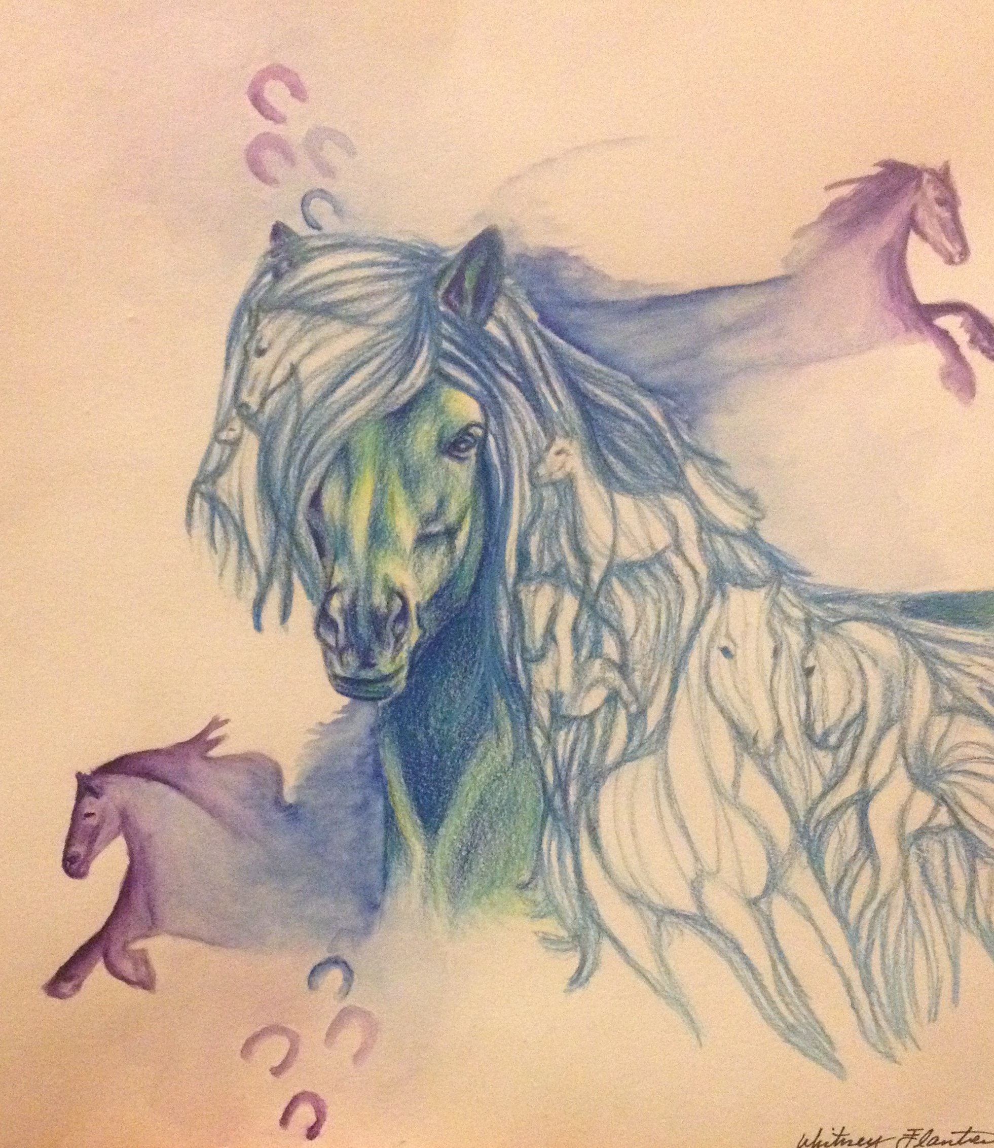 HS Horse.jpg