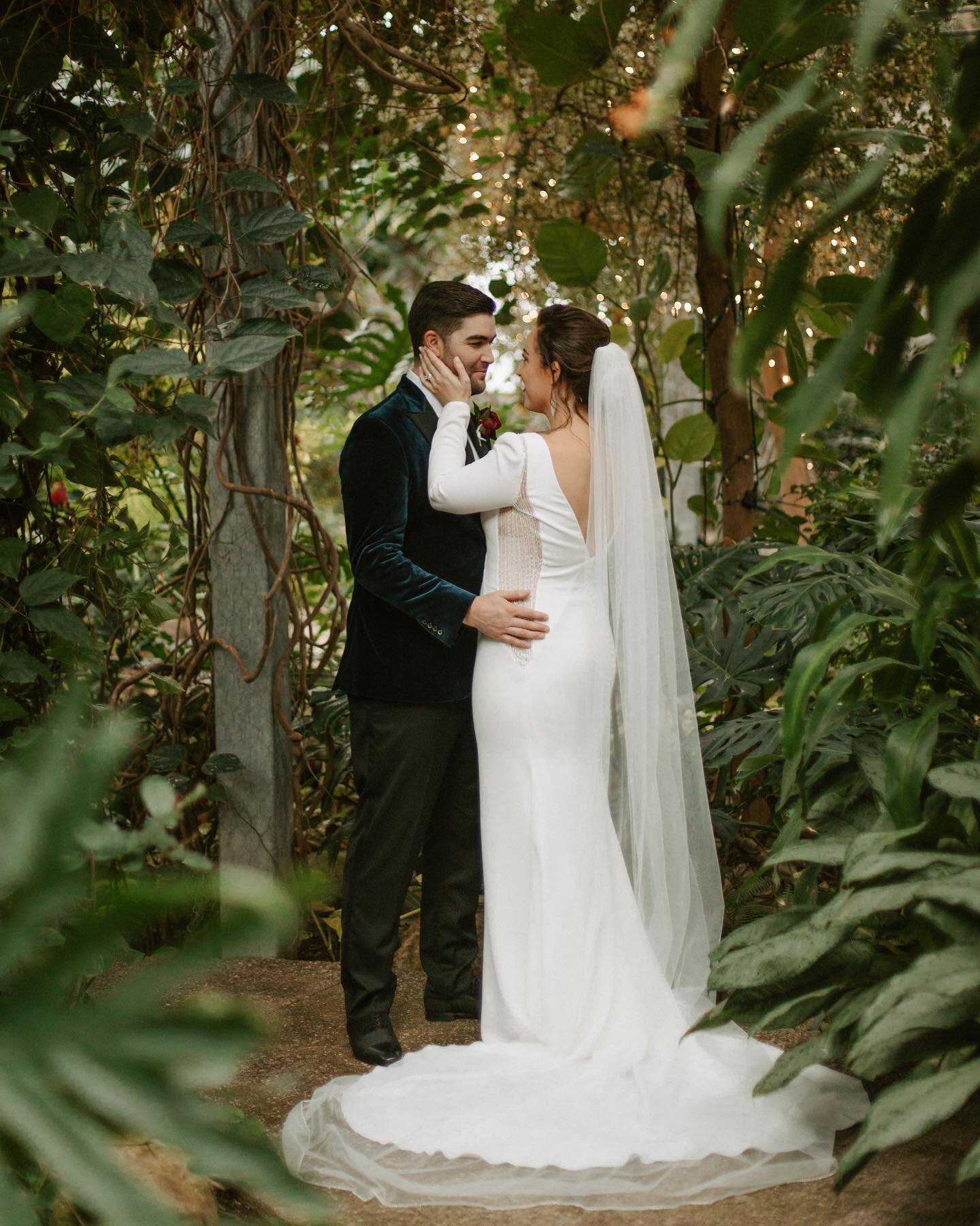 Even though we were supposed to be celebrating Pam and Cal&rsquo;s big day in Jamaica, @cambridgebutterflyconservatory certainly brought a little of the tropics to us. After planning, and re-planning, and planning again, these two finally tied the kn