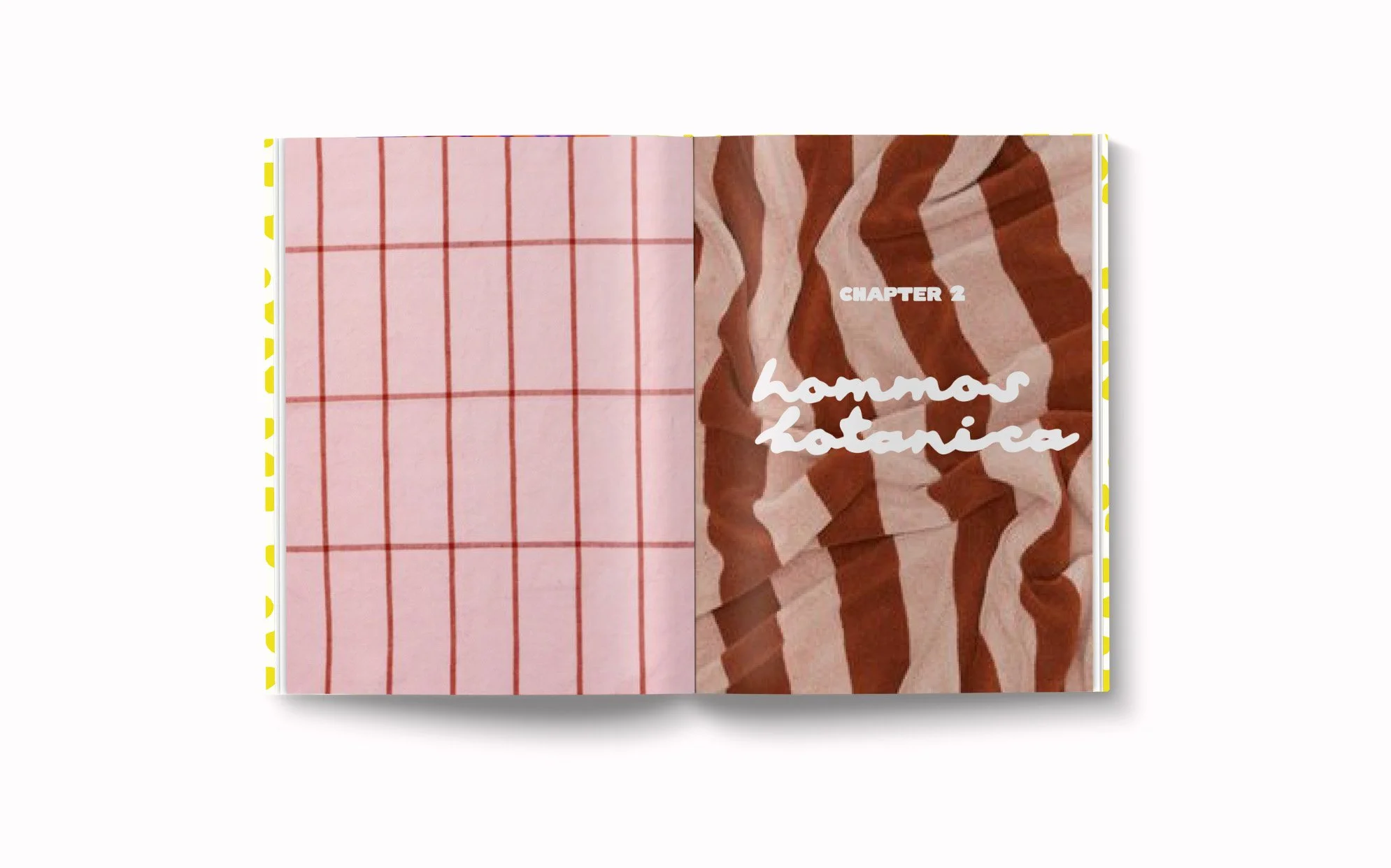 Hommos Cook Book SPREADS 3 simulation.jpg