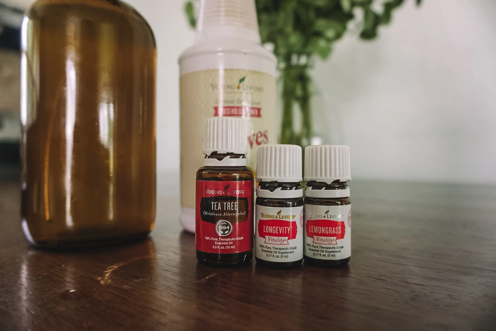 DIY Indoor Plant Spray