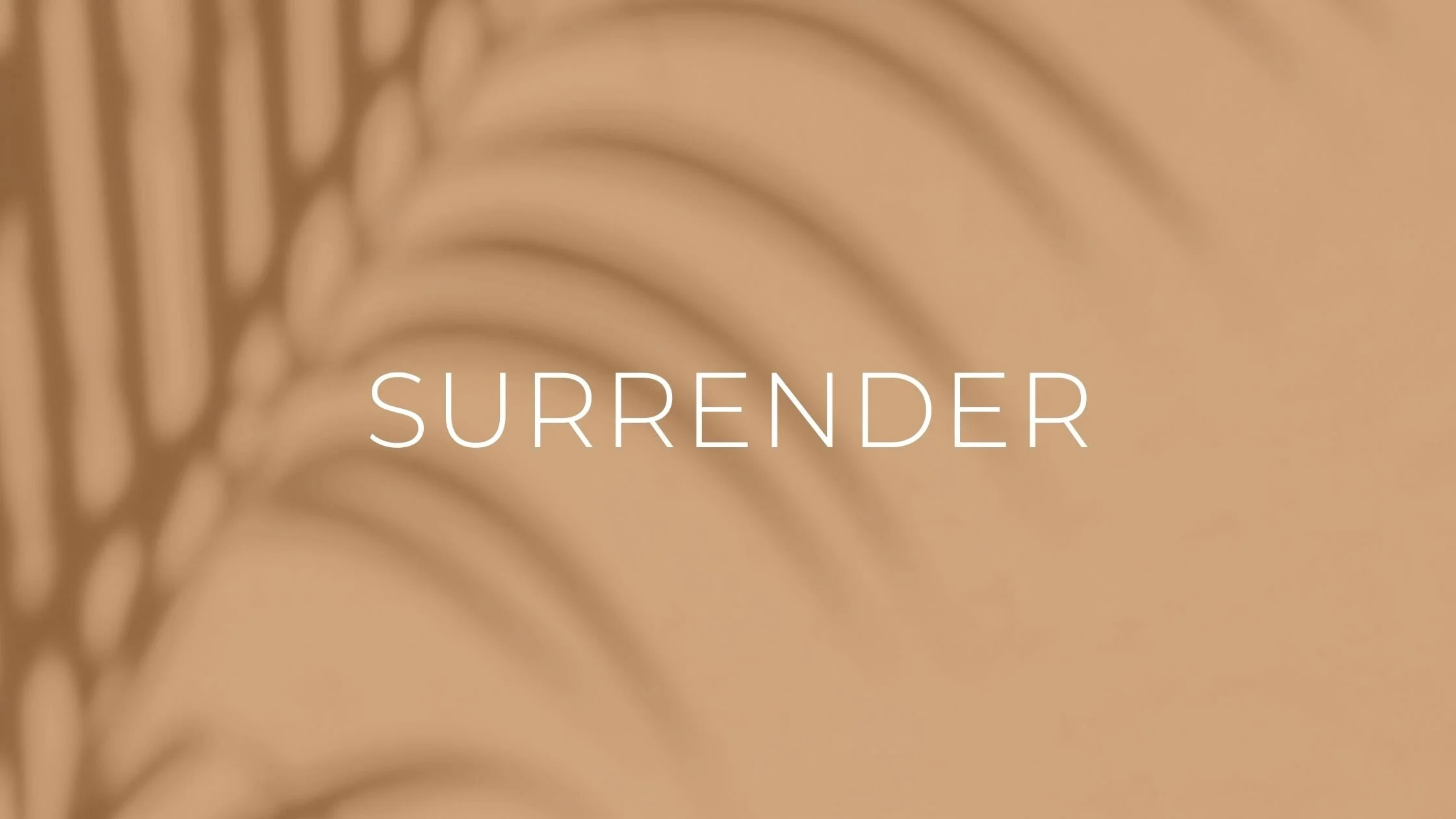 Brown and White Professional Skin Care Blog Banner.jpg